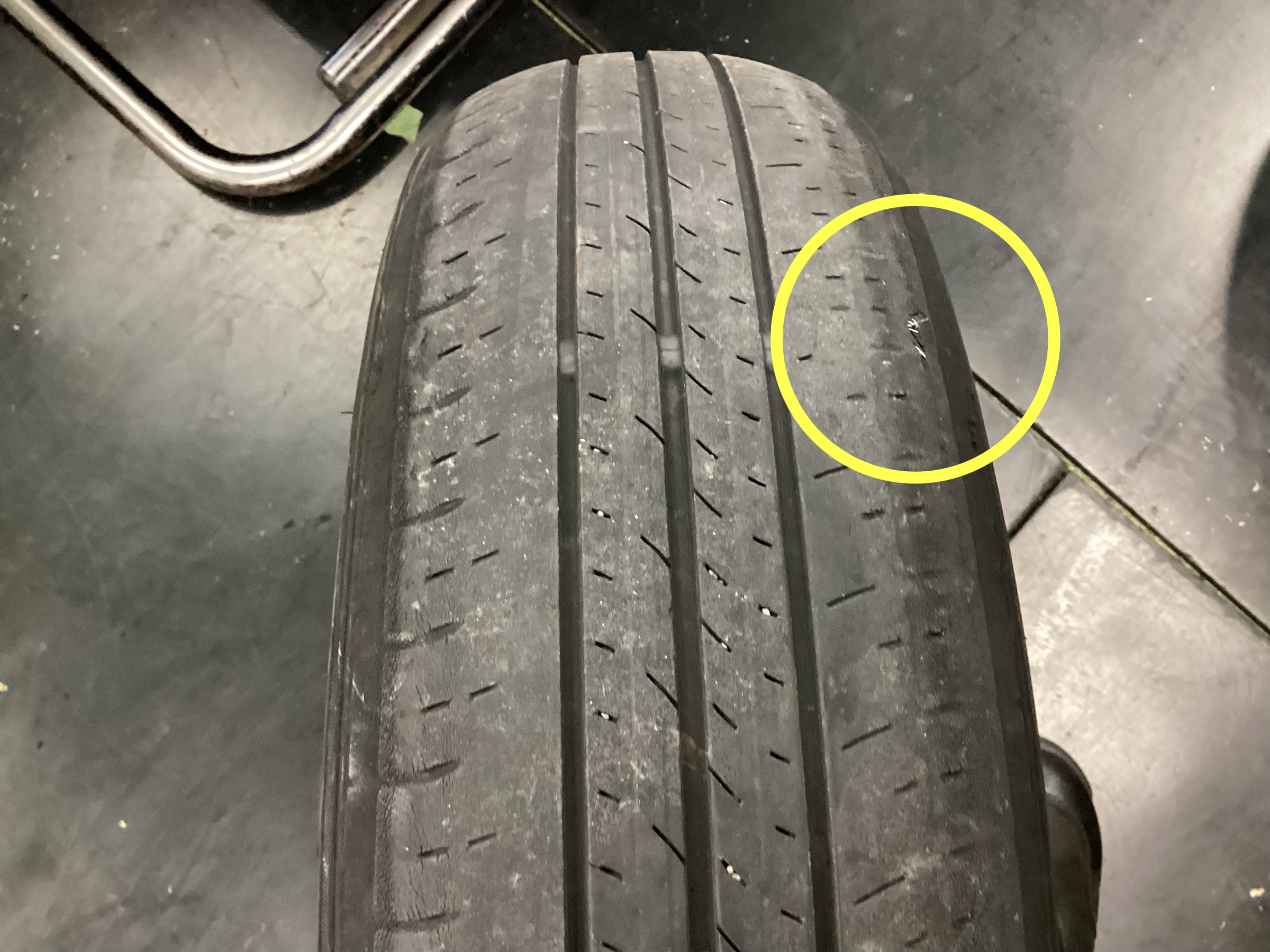 スタッフ撮影分