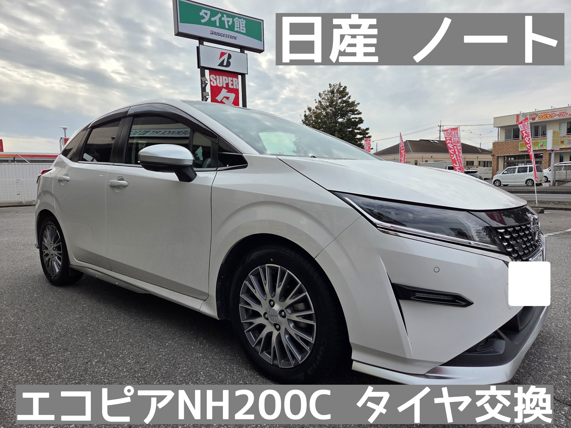 スタッフが撮影しました