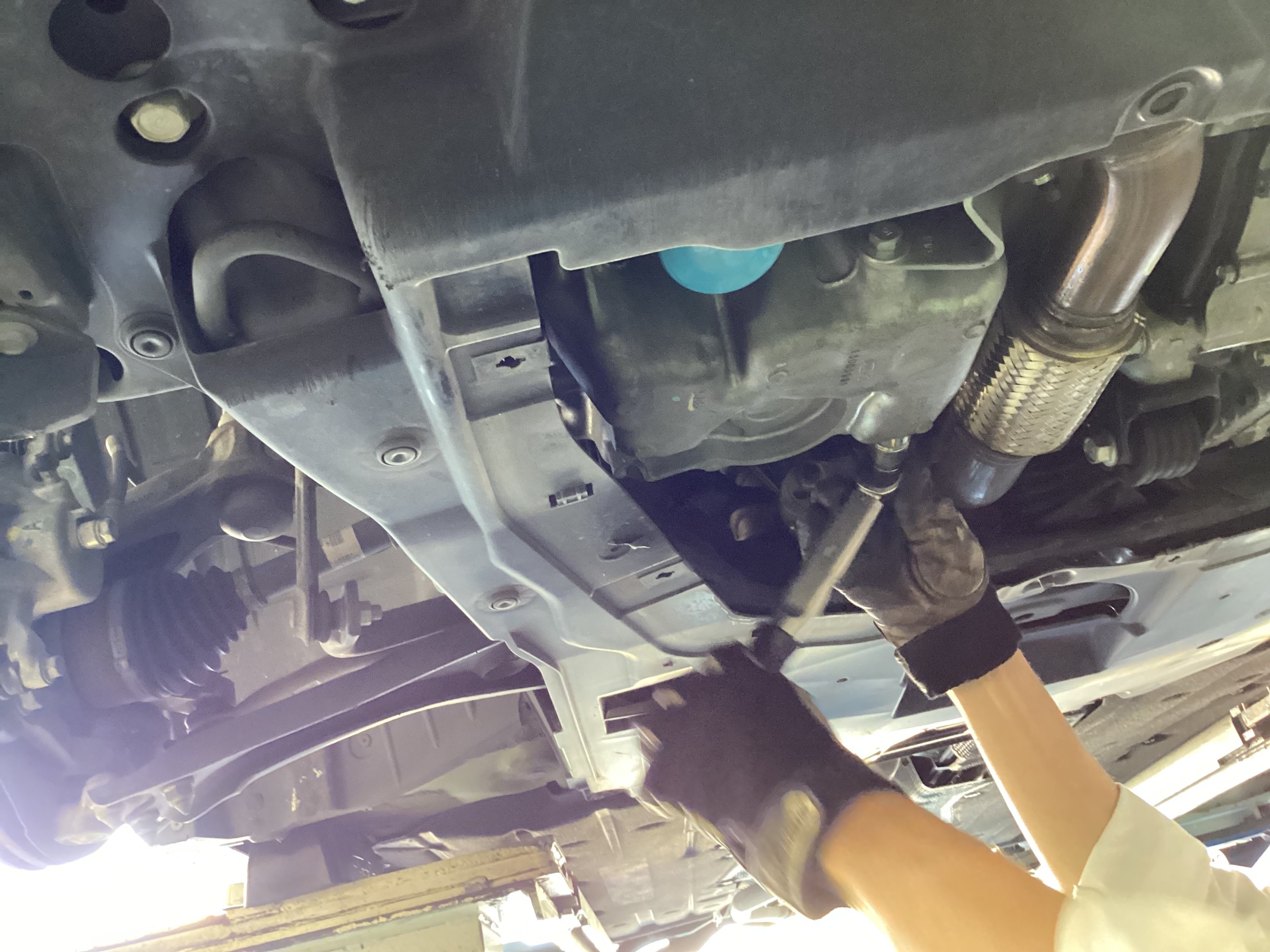 スタッフ撮影分