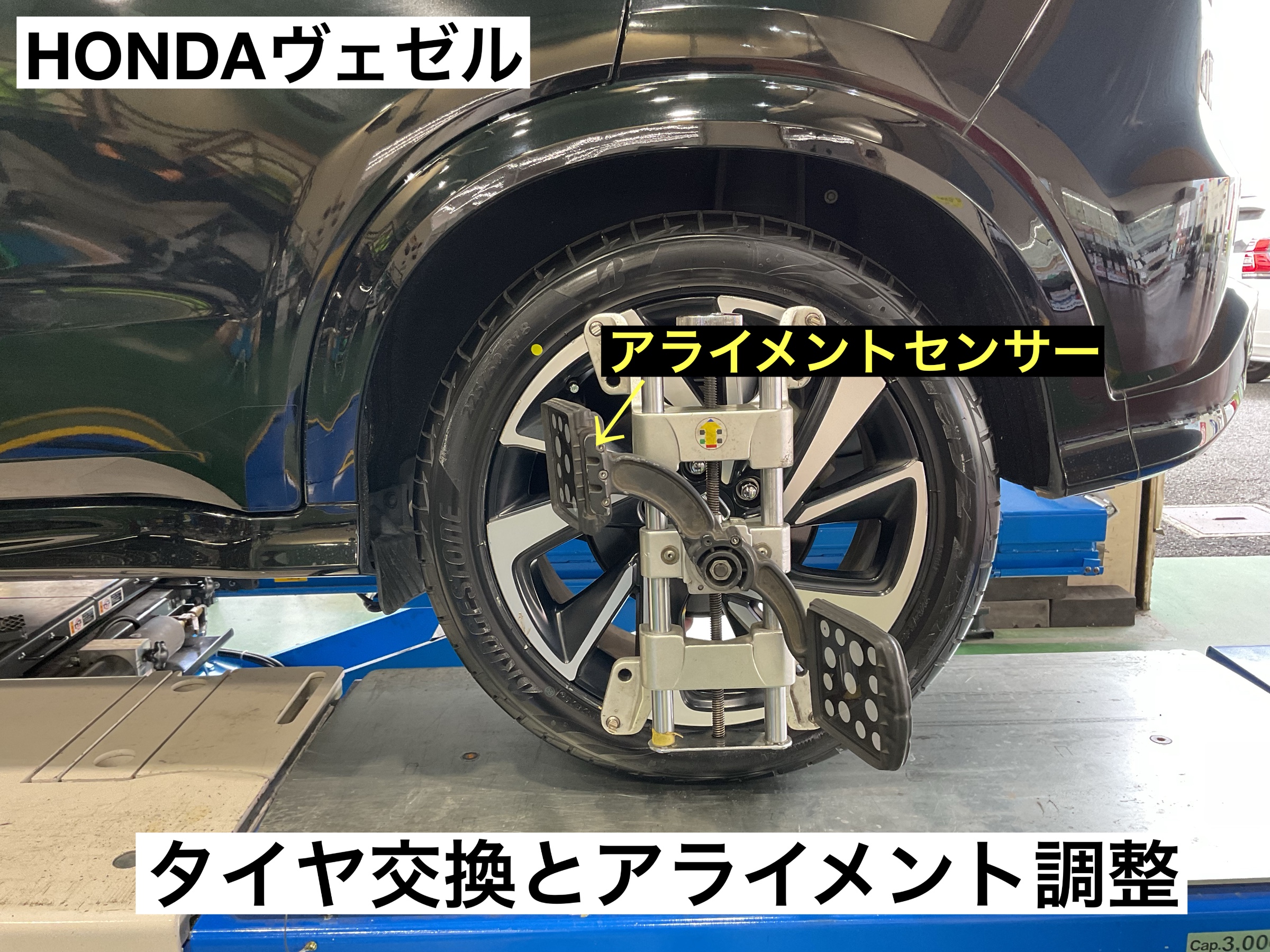 スタッフが撮影