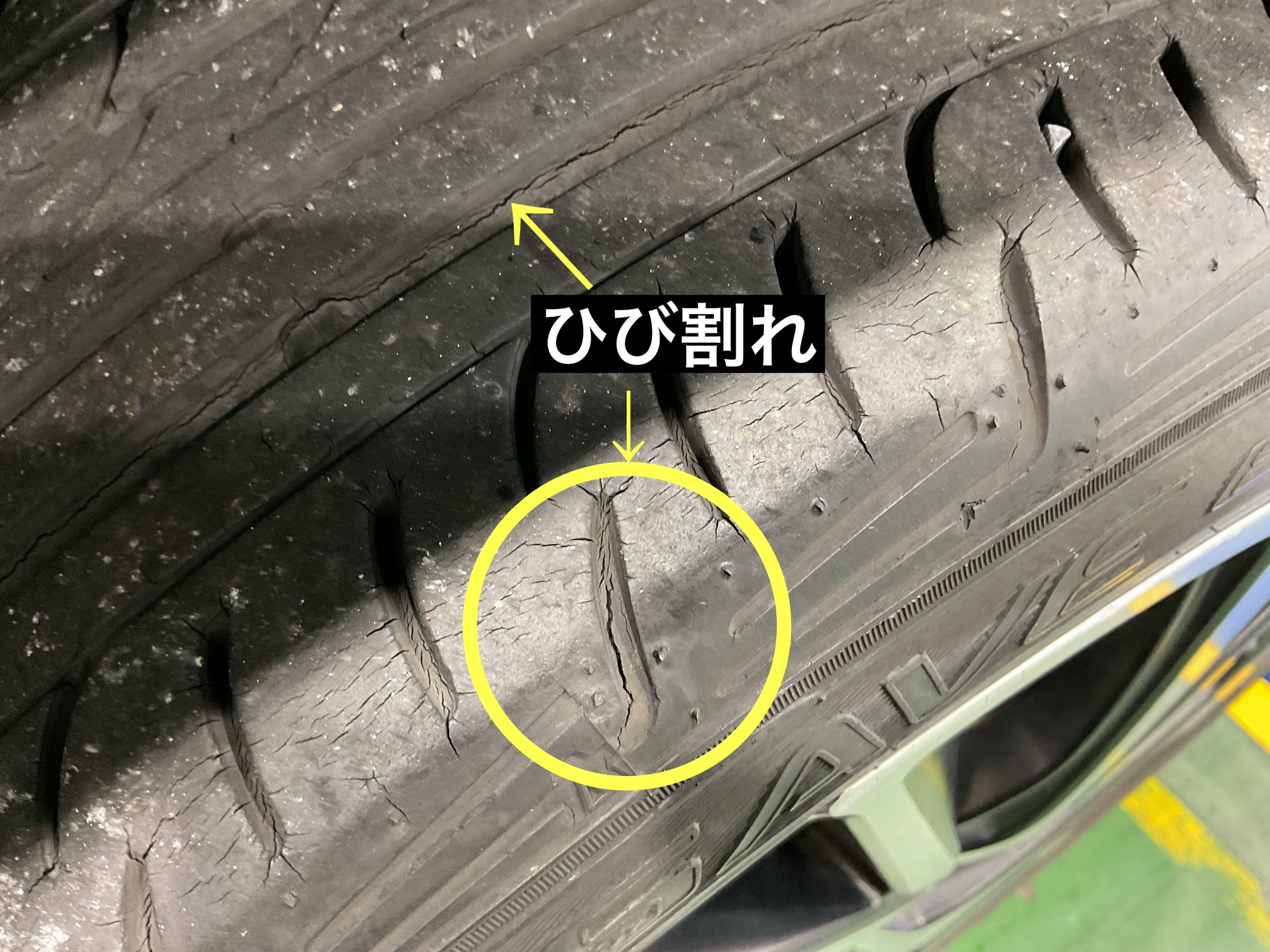 スタッフが撮影