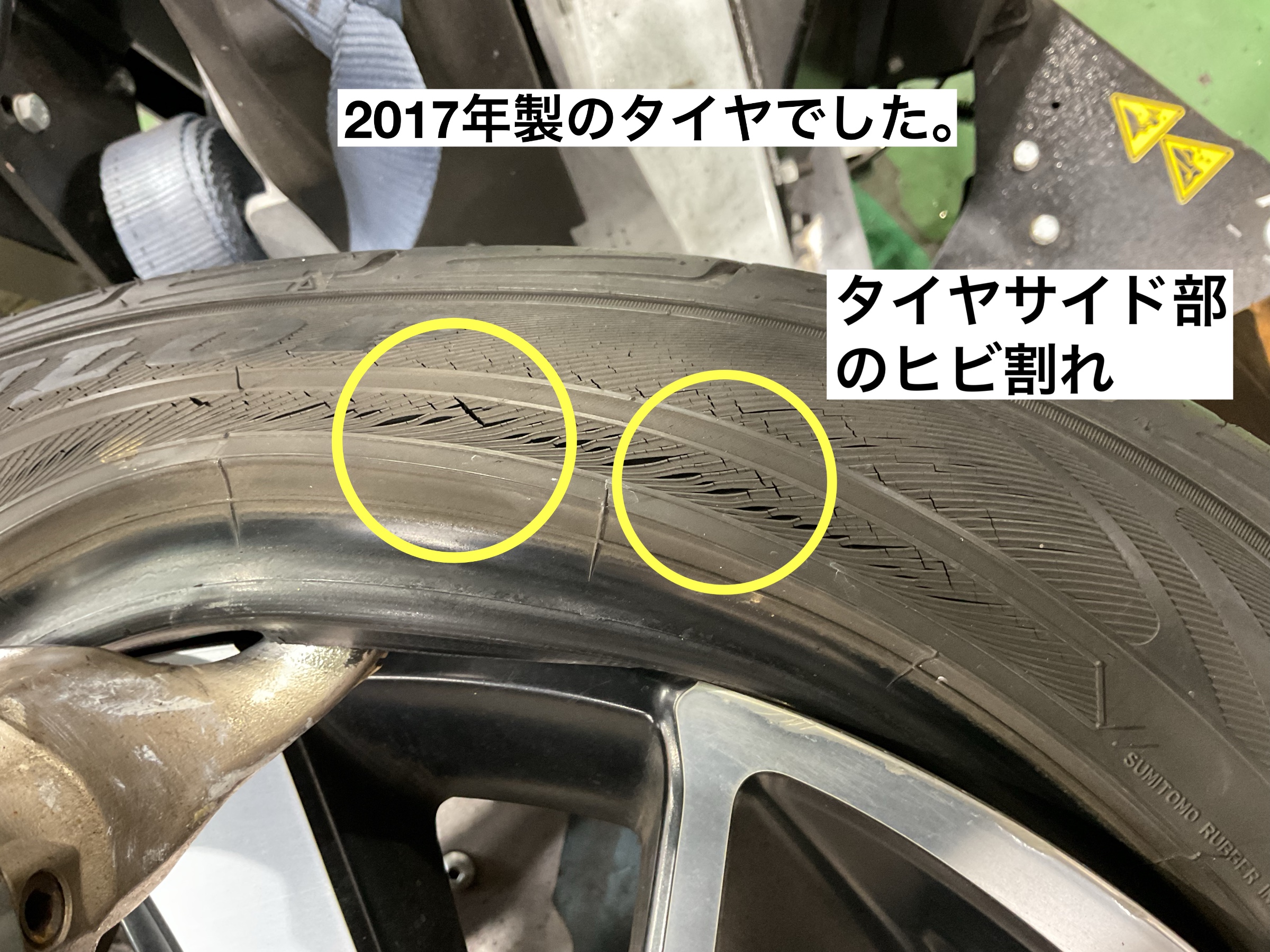 スタッフが撮影