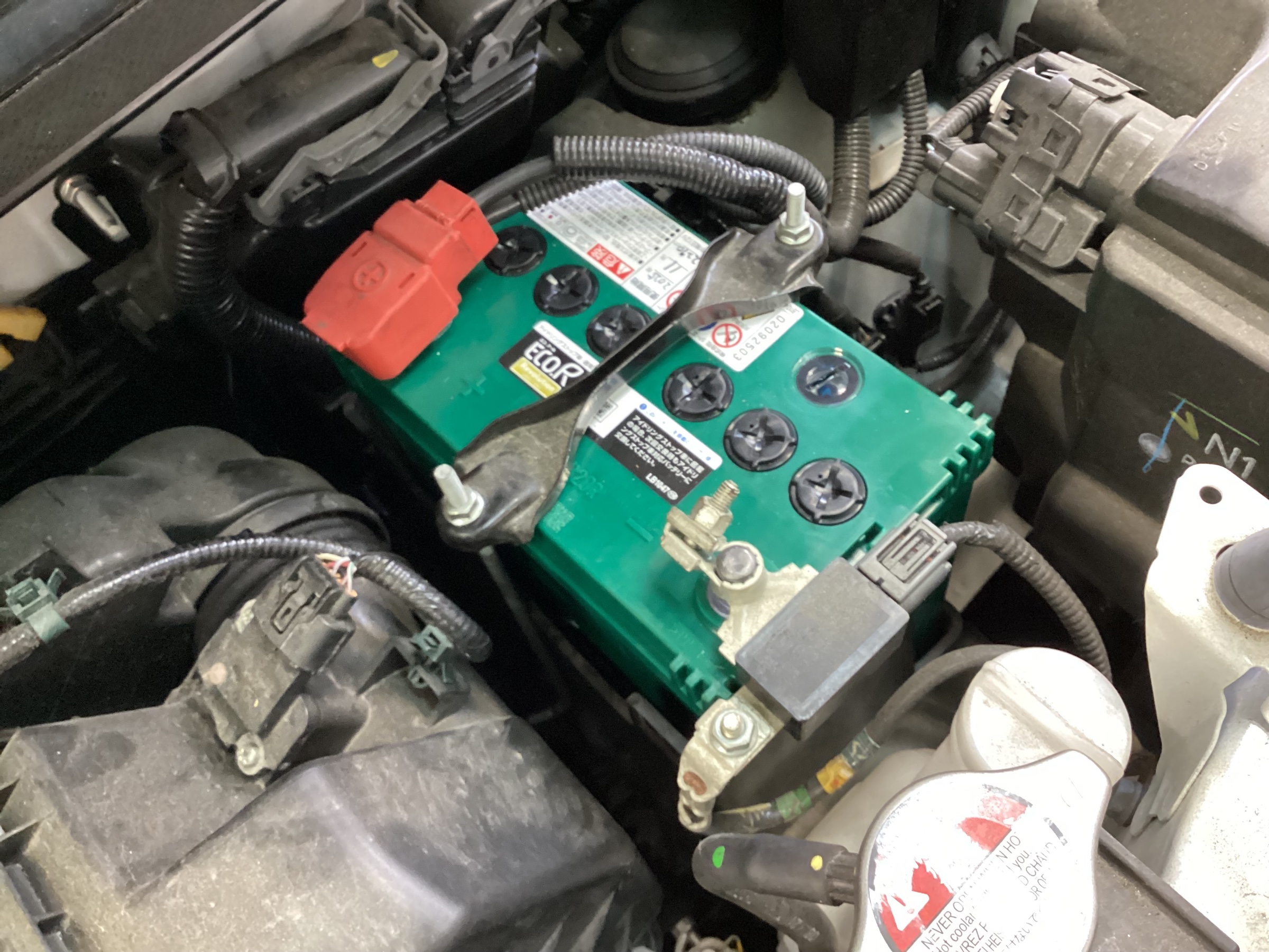 スタッフ撮影分