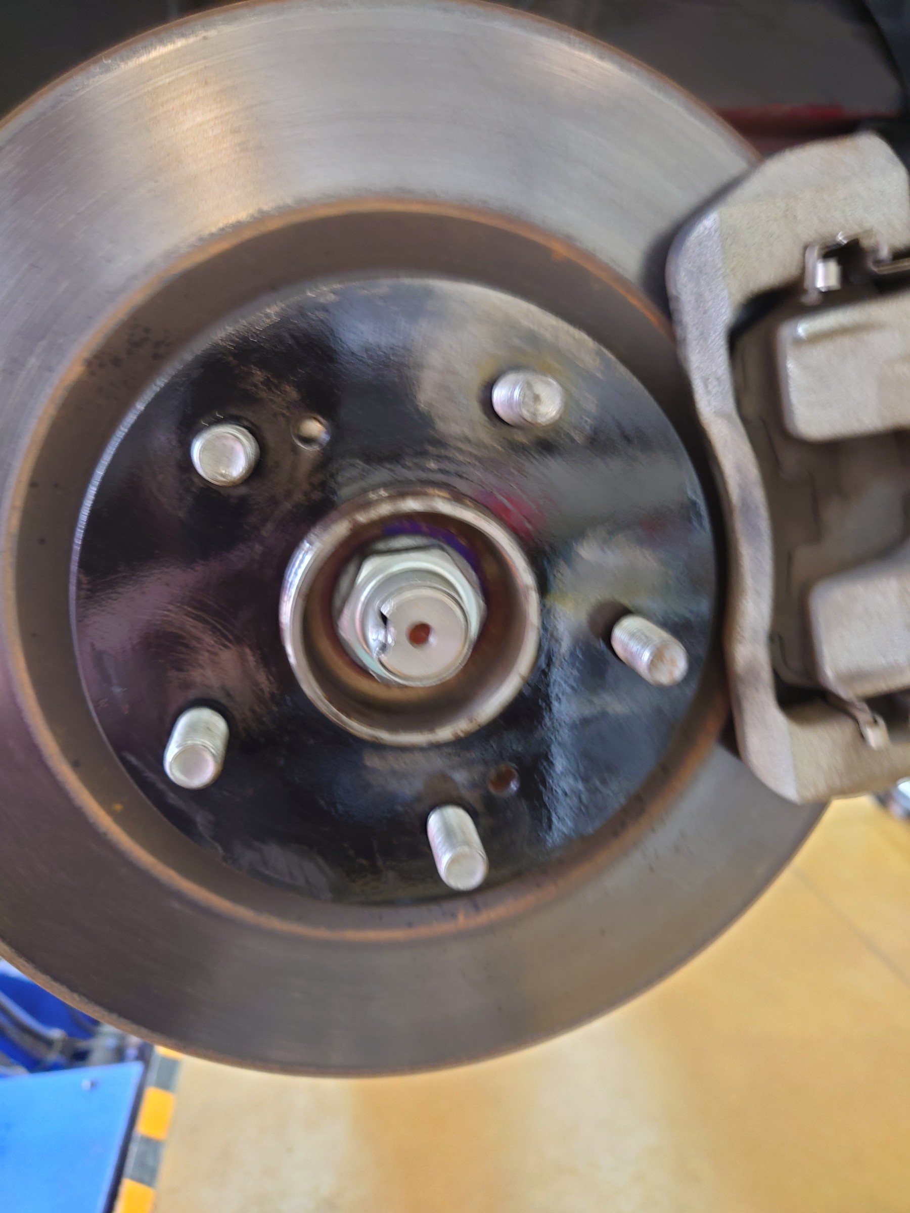 スタッフ撮影写真