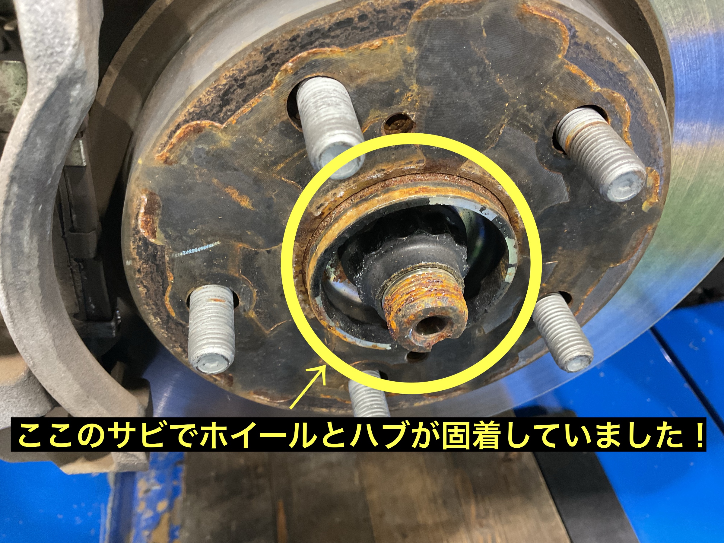 スタッフが撮影