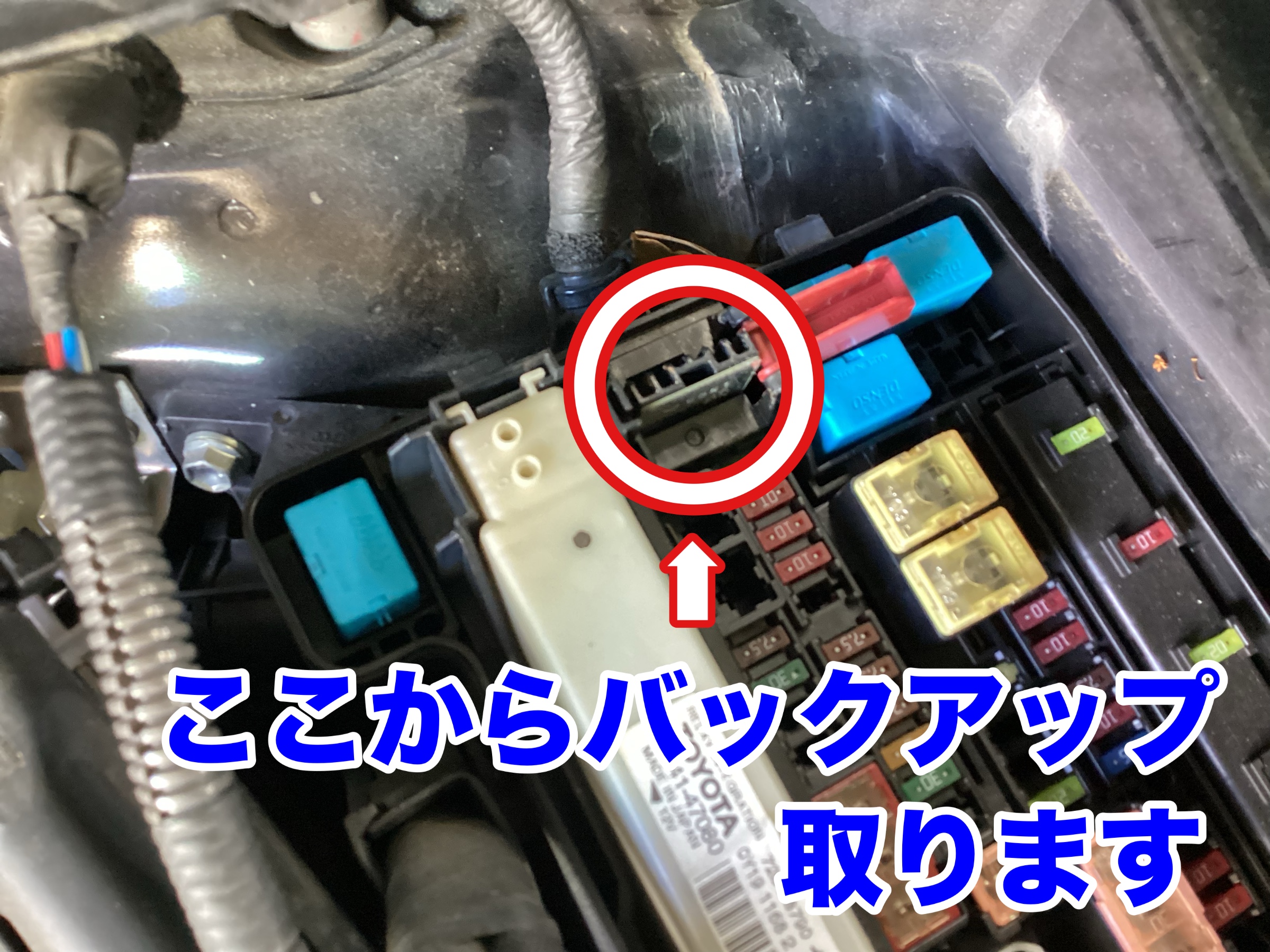 スタッフ撮影