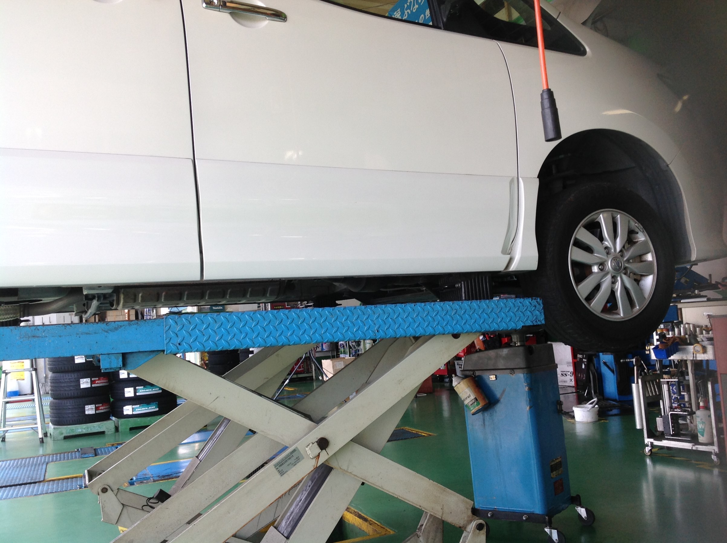 真横からのアングル