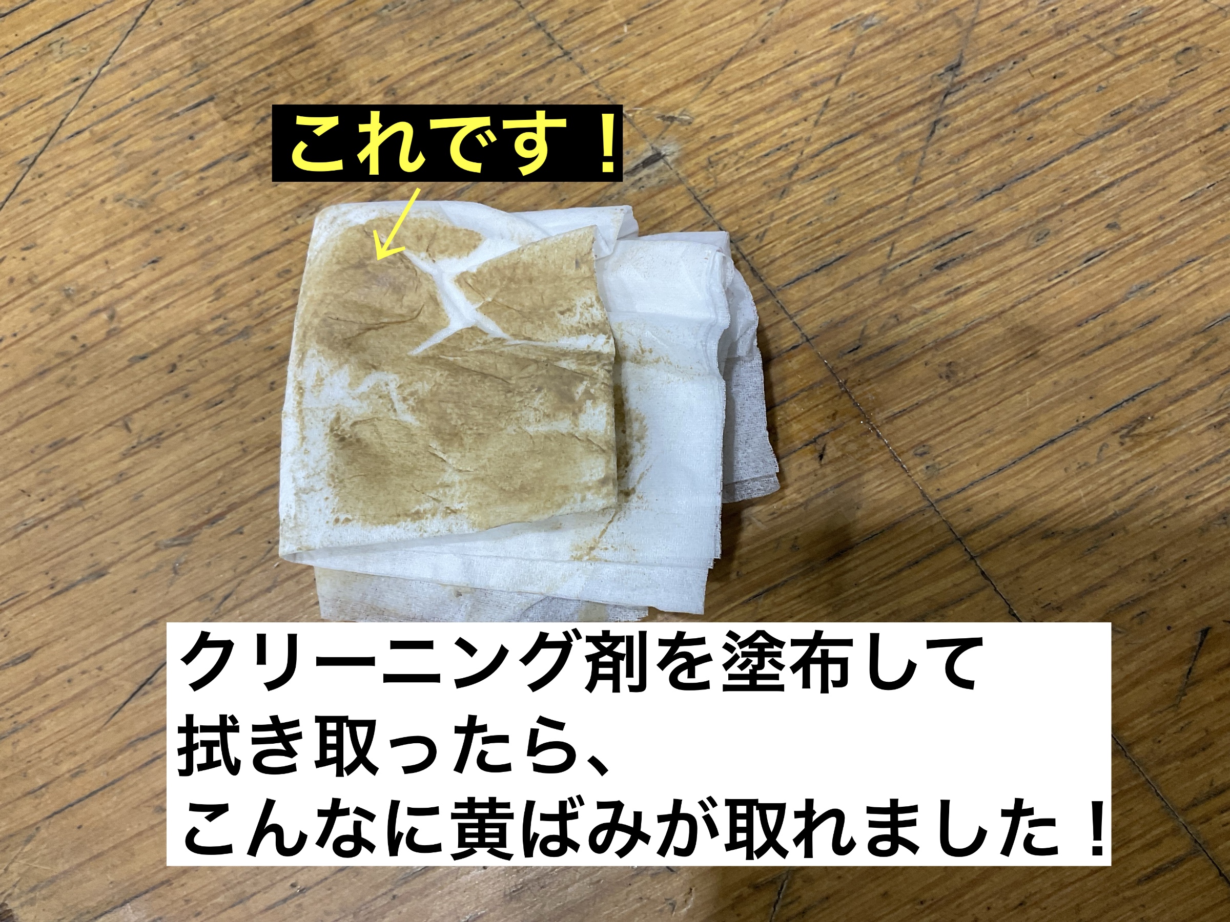 スタッフが撮影