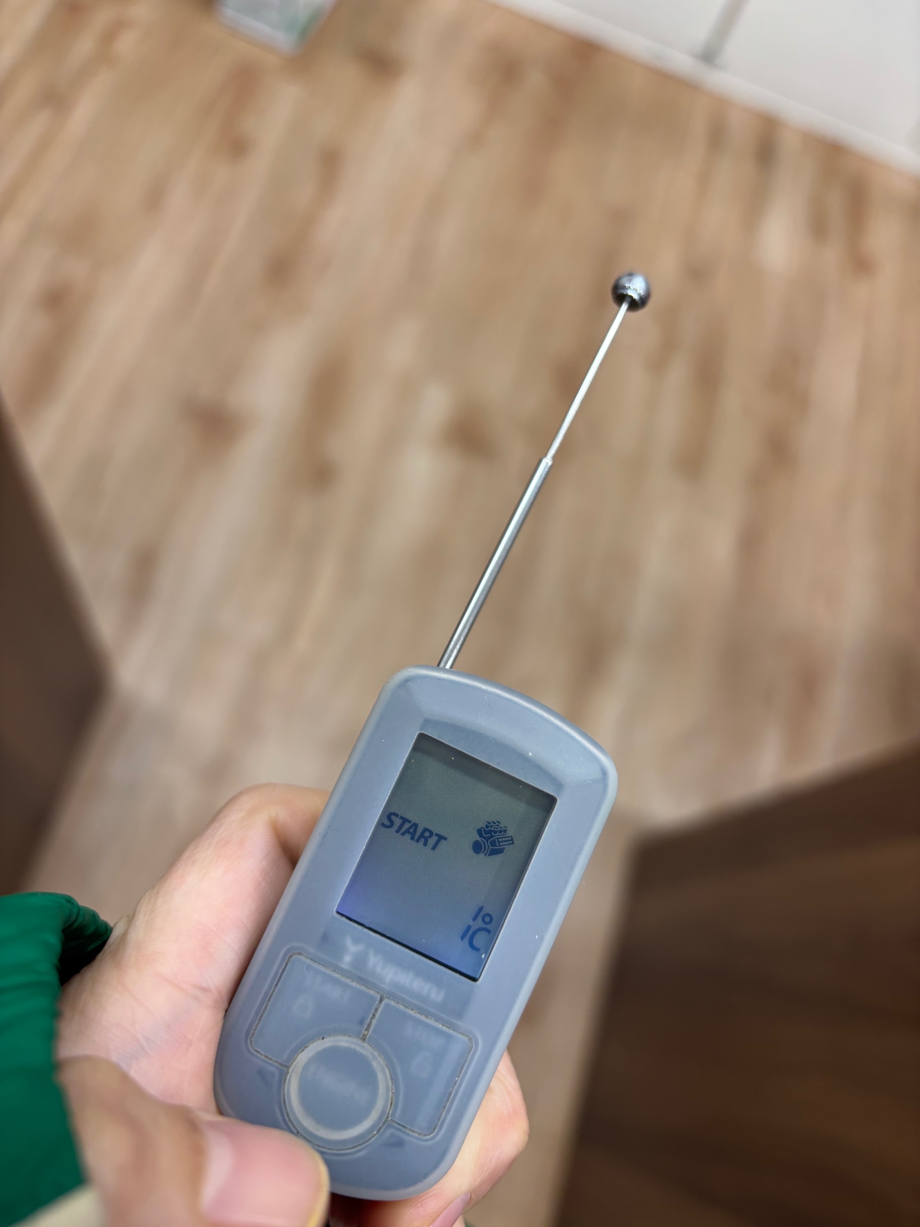 スタッフ撮影です