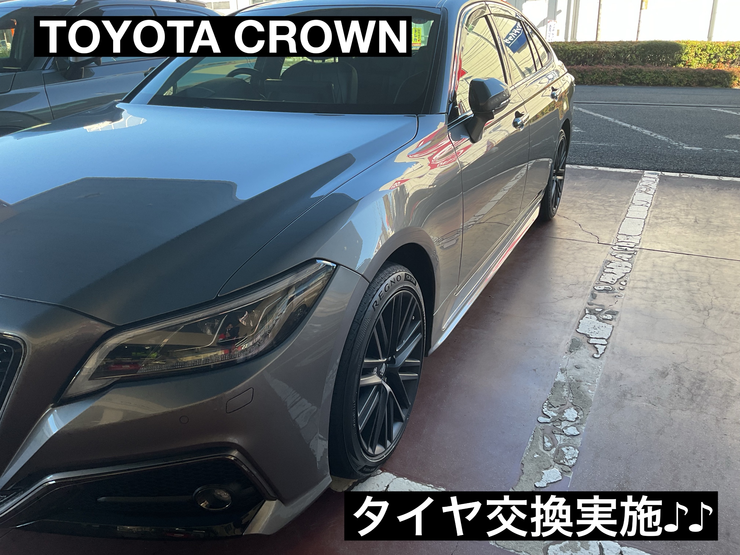 スタッフが撮影