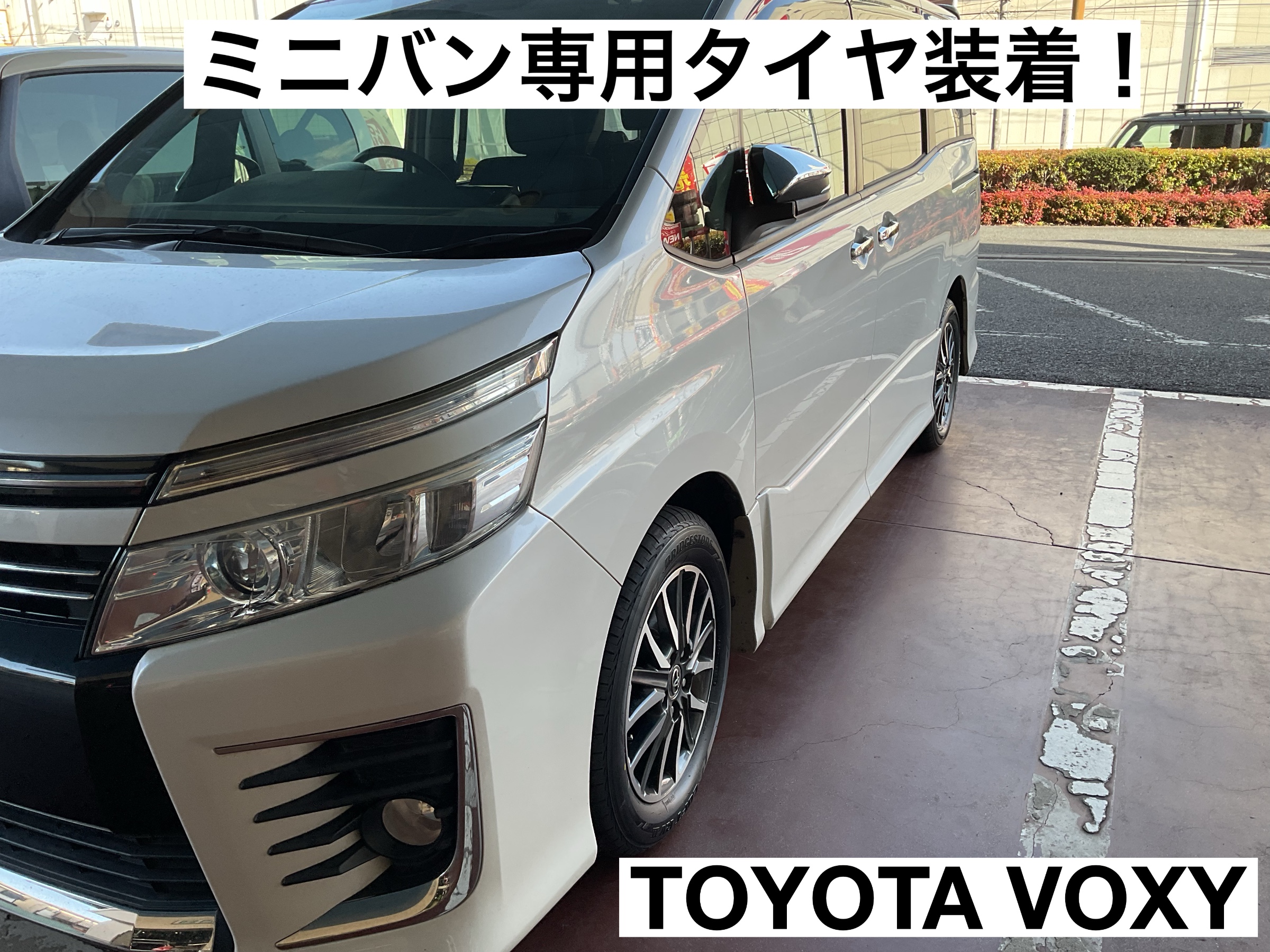 スタッフが撮影