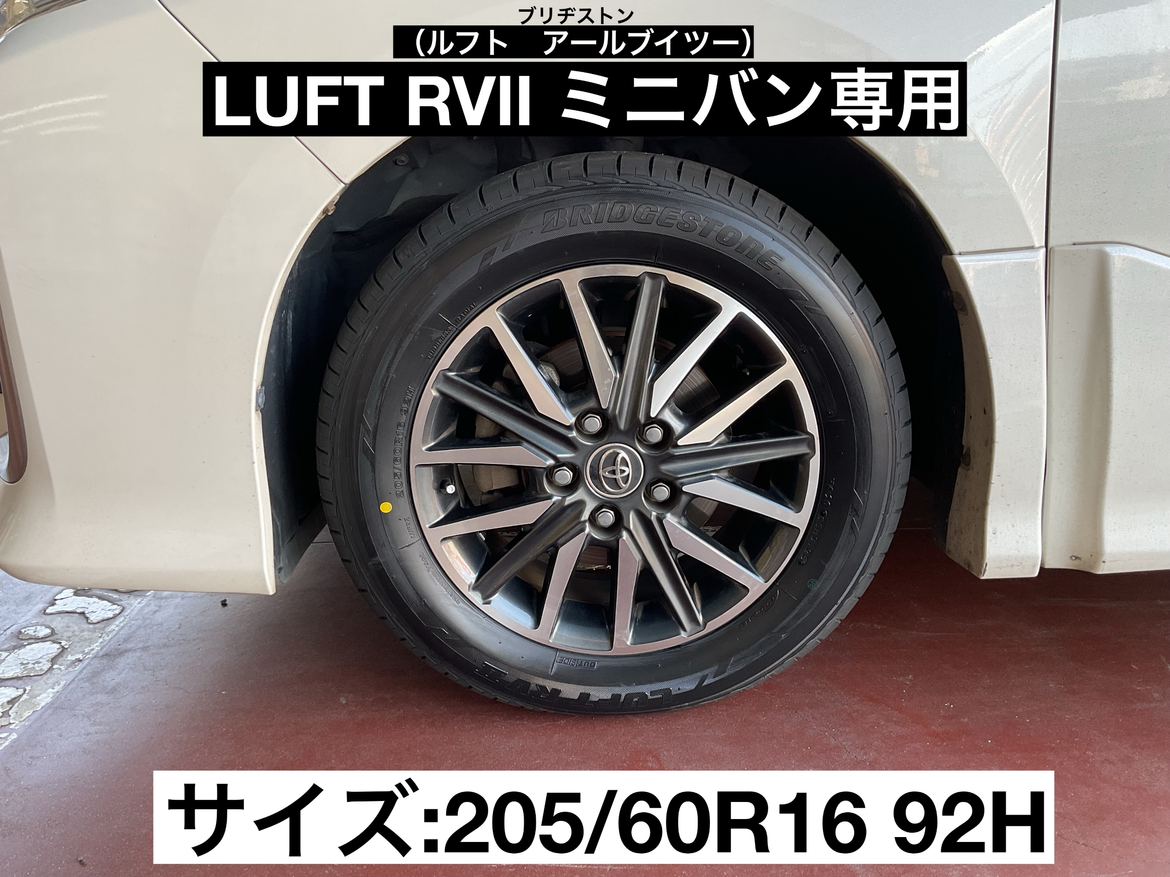 スタッフが撮影