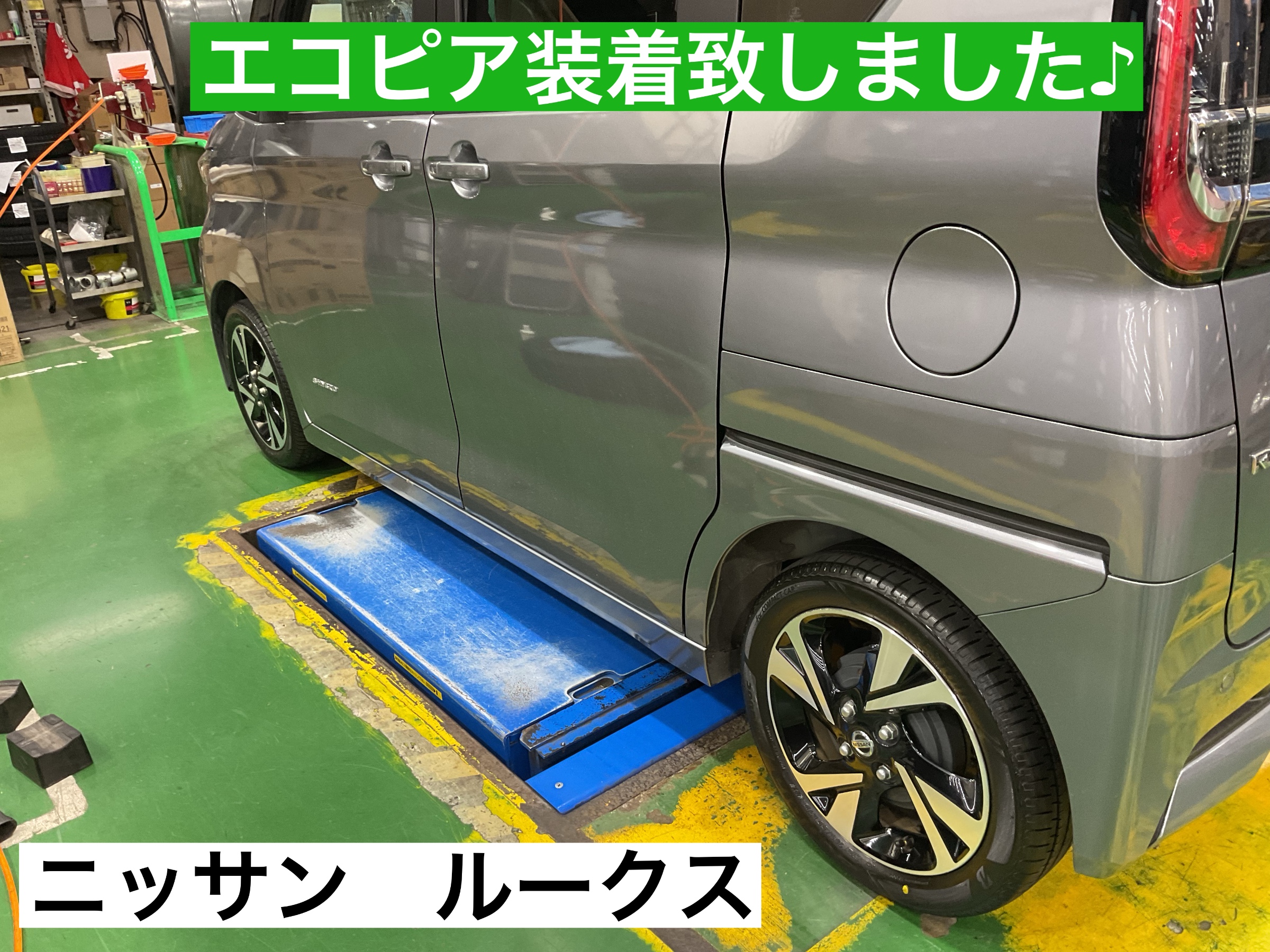 スタッフが撮影