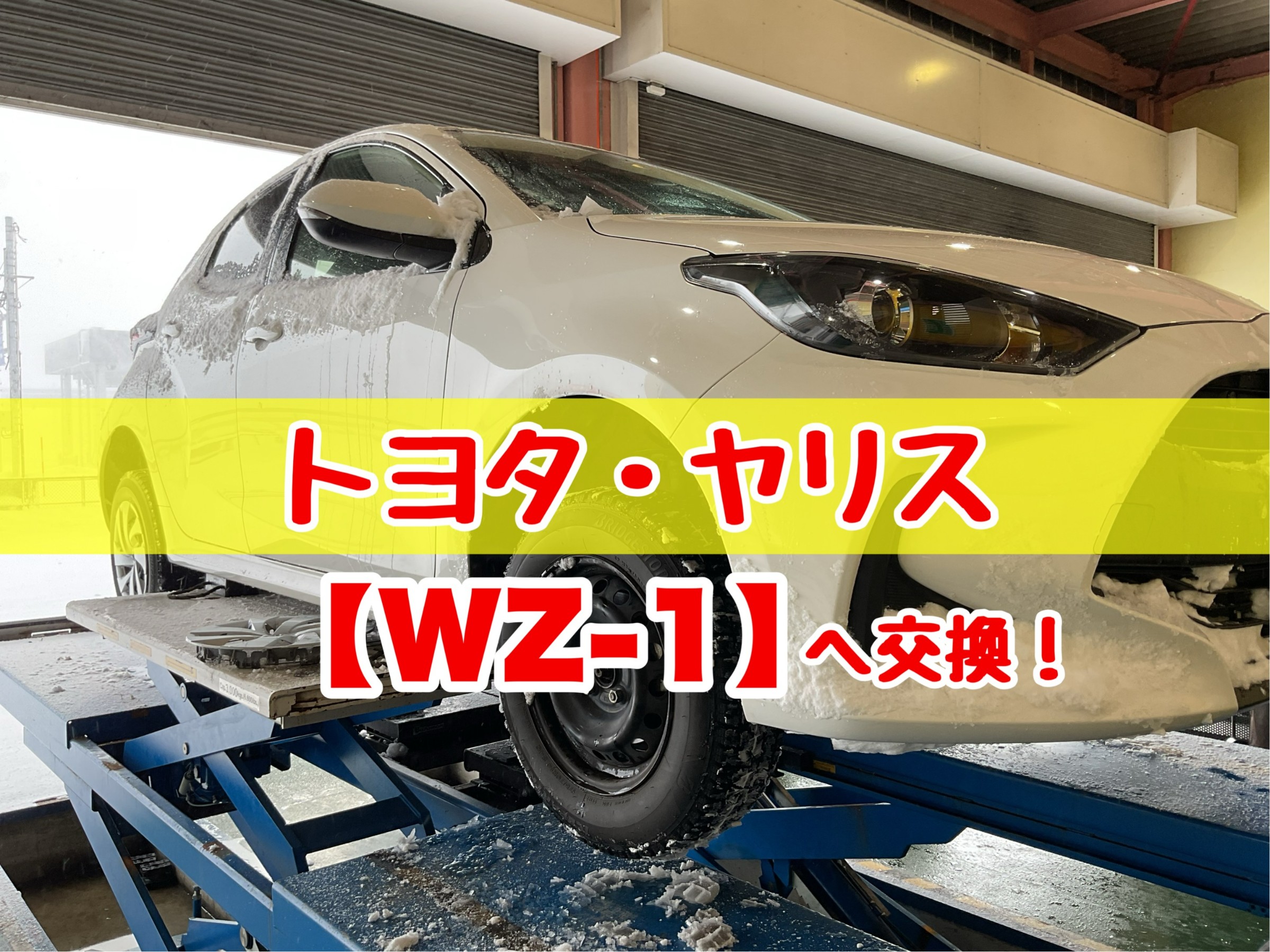 スタッフが撮影加工した画像