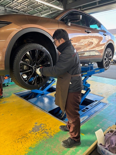 スタッフ撮影です。