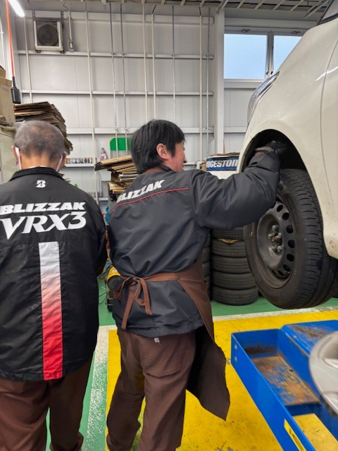 スタッフ撮影です。