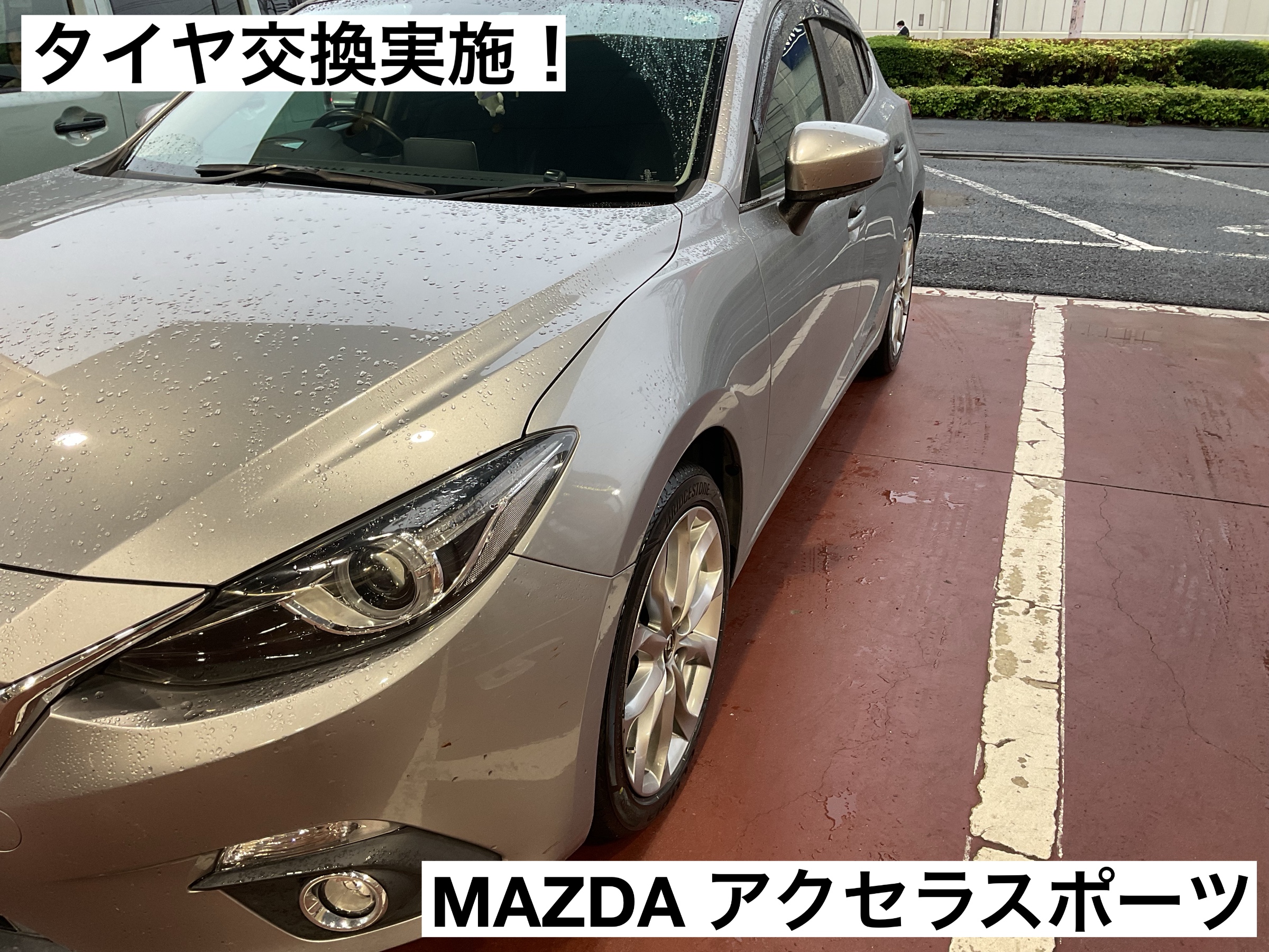 スタッフが撮影
