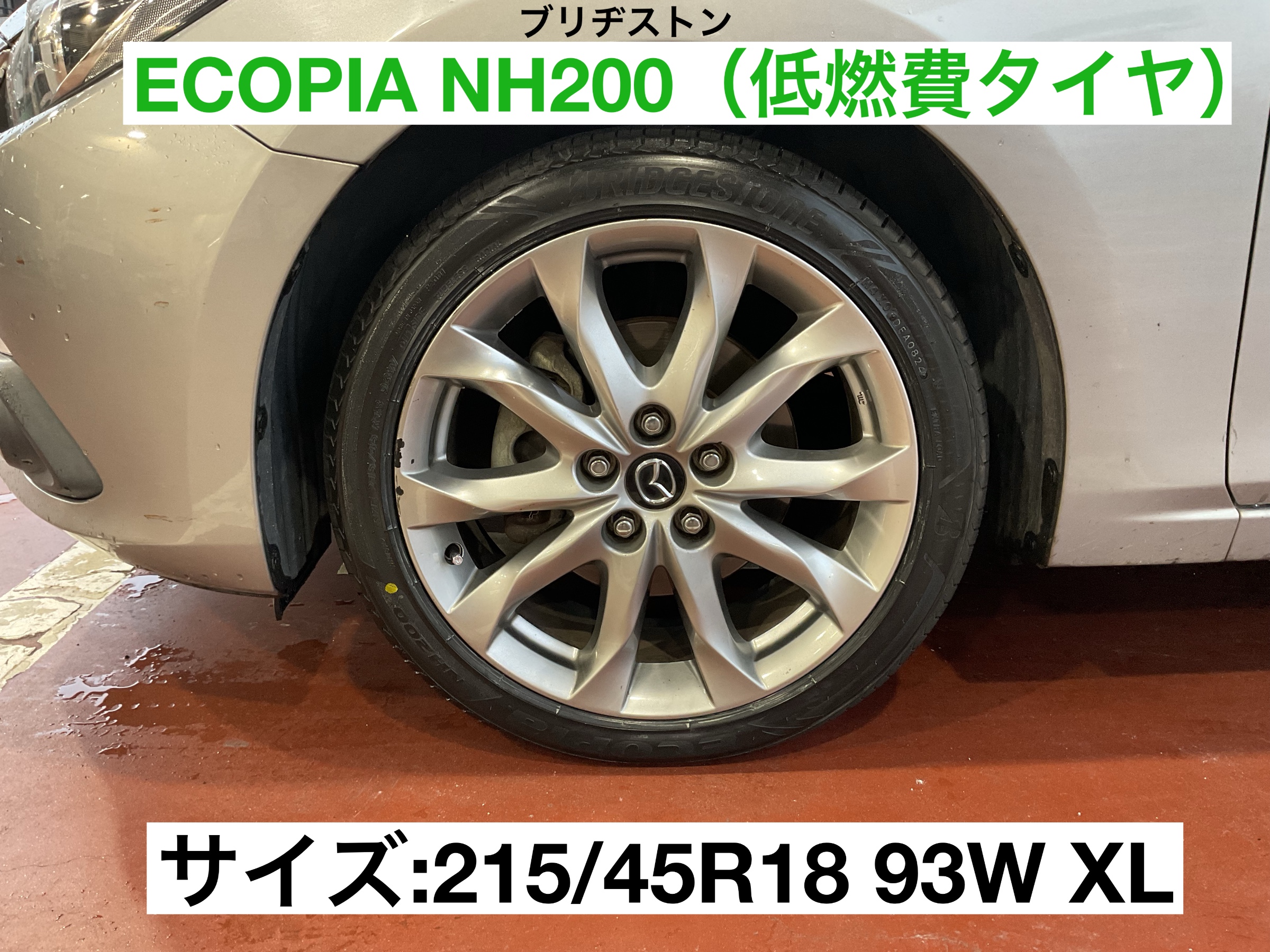 スタッフが撮影