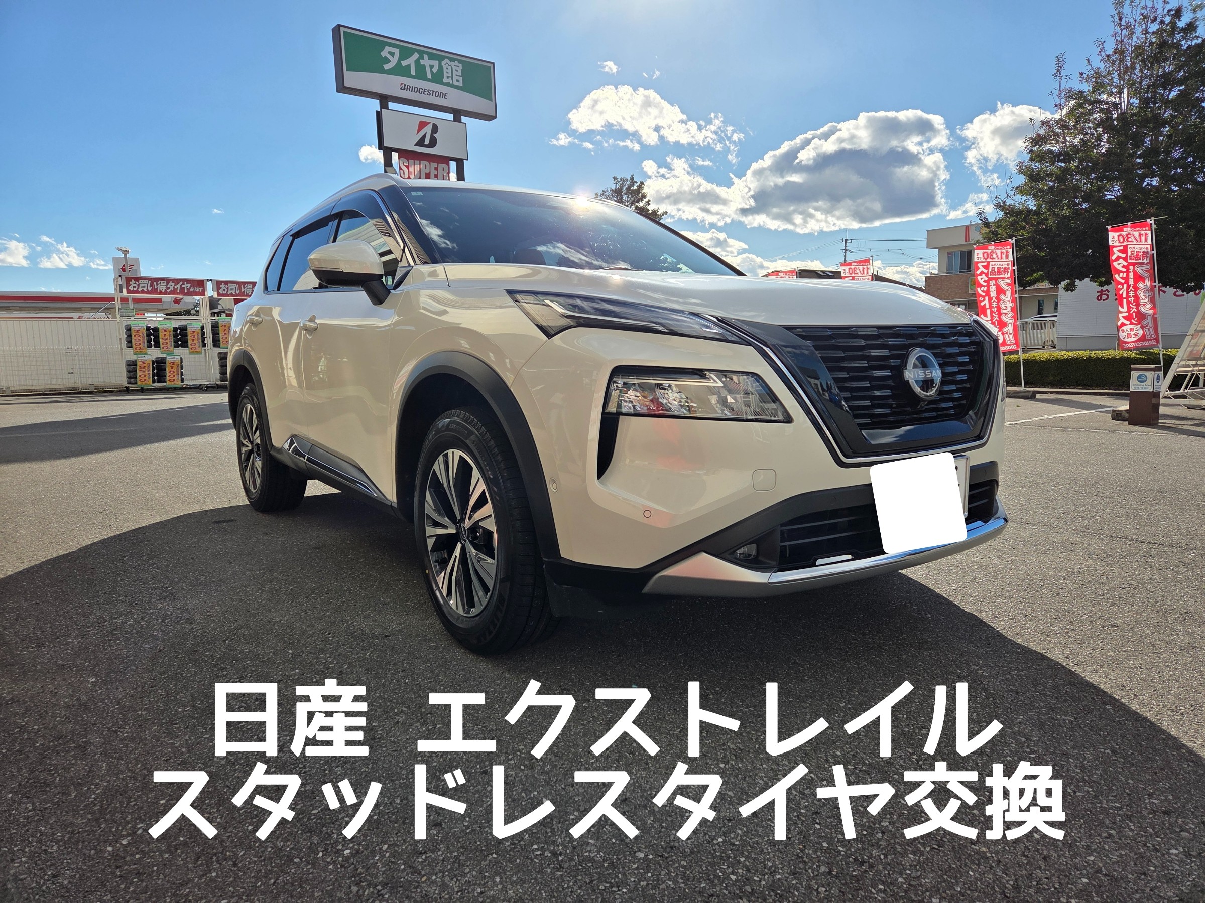 スタッフが撮影しました