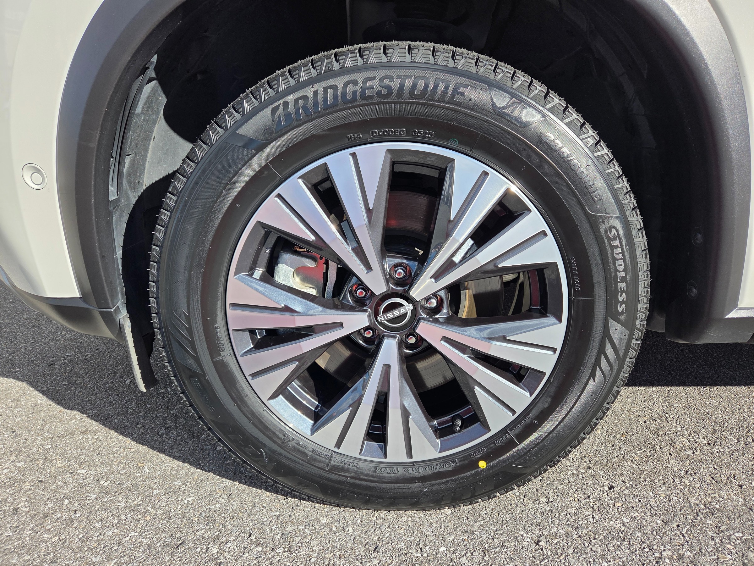 スタッフが撮影しました