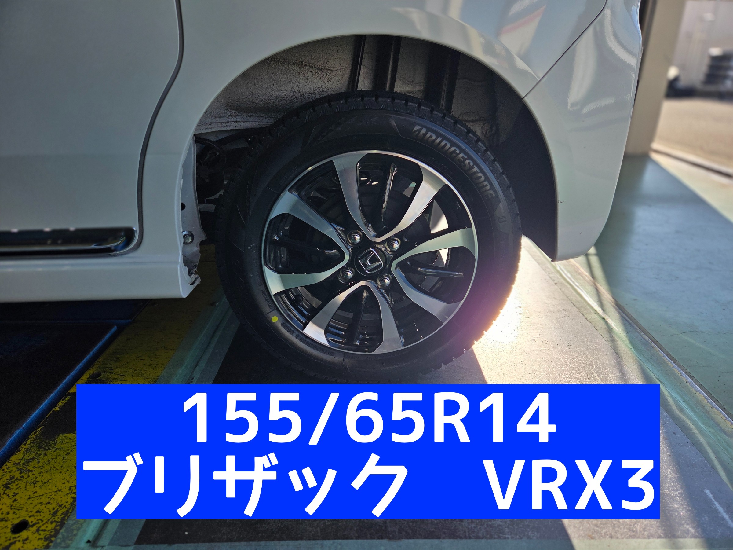 スタッフが撮影しました