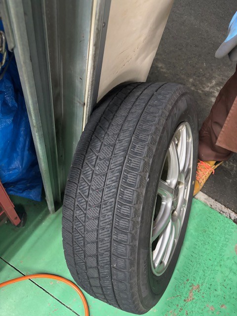 スタッフ撮影です。