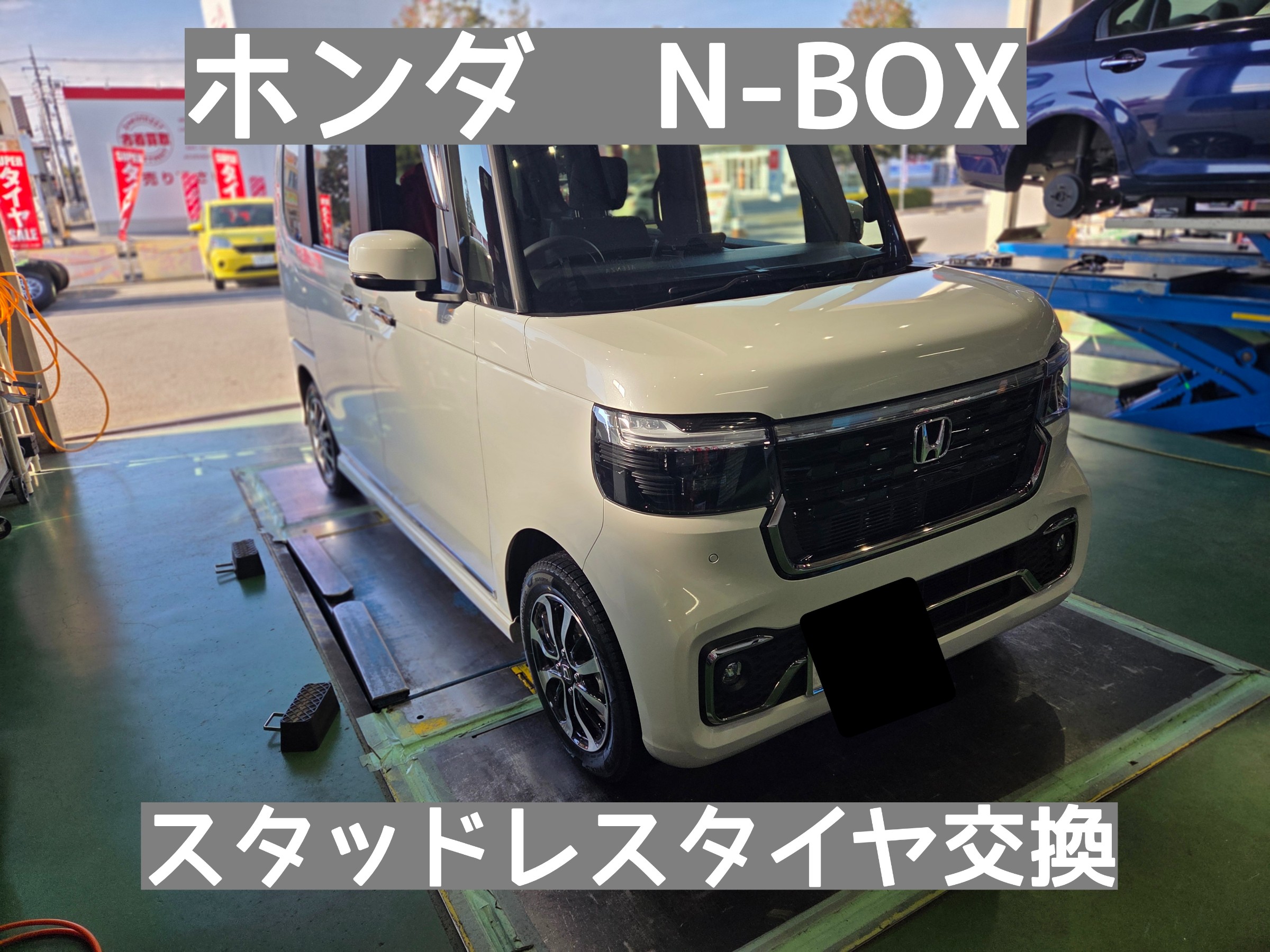 スタッフが撮影しました