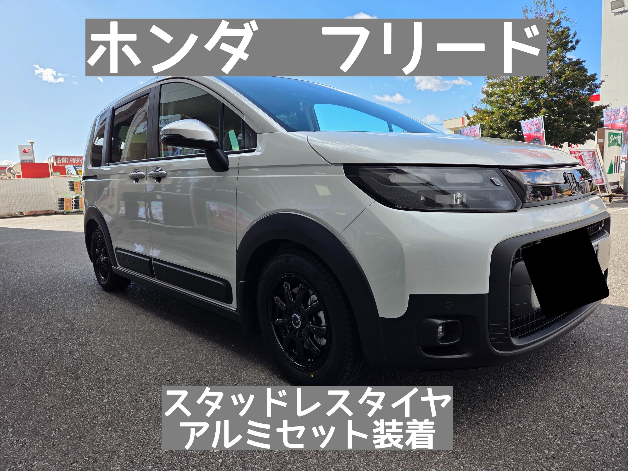 スタッフが撮影しました