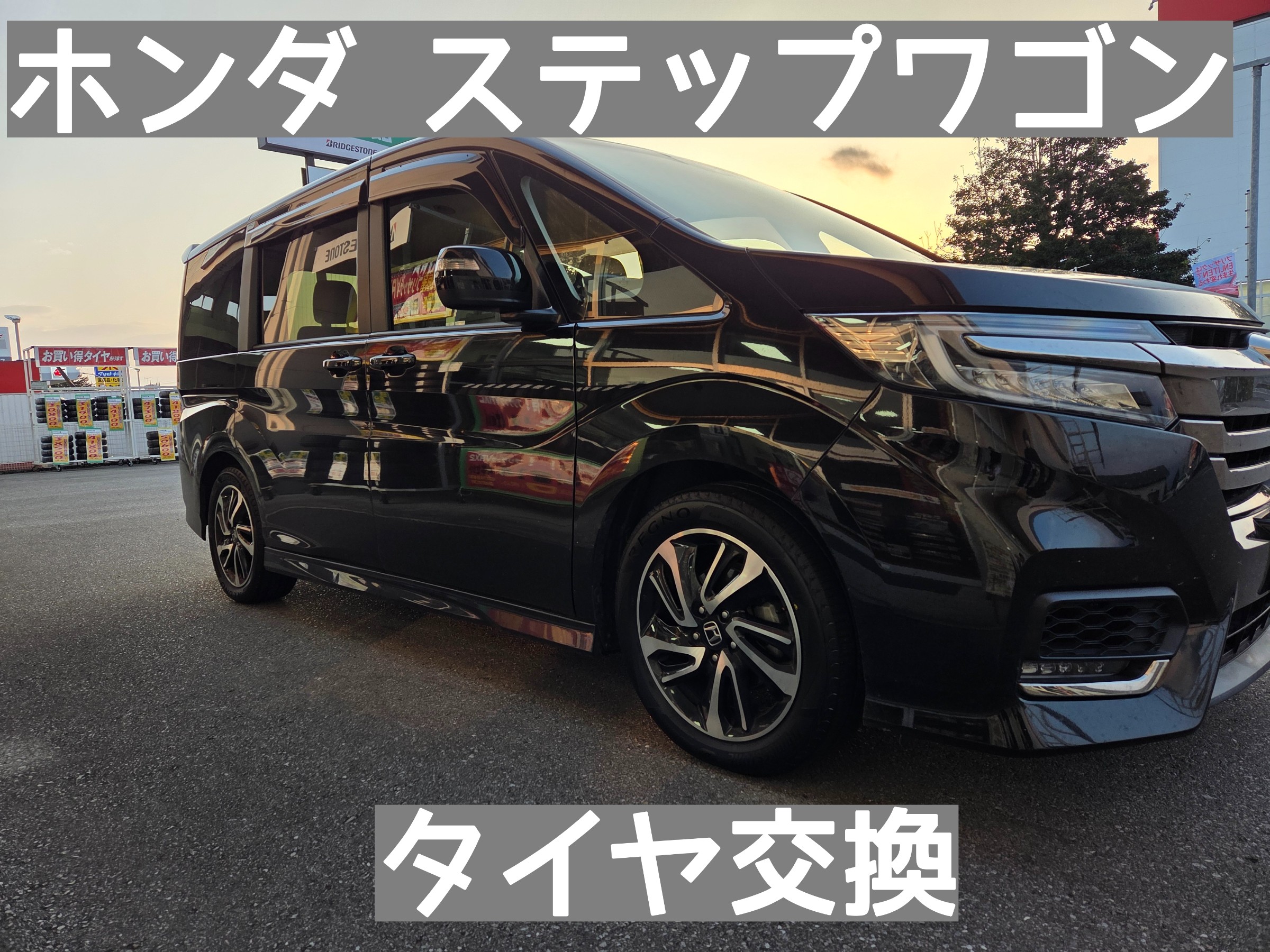 スタッフが撮影しました