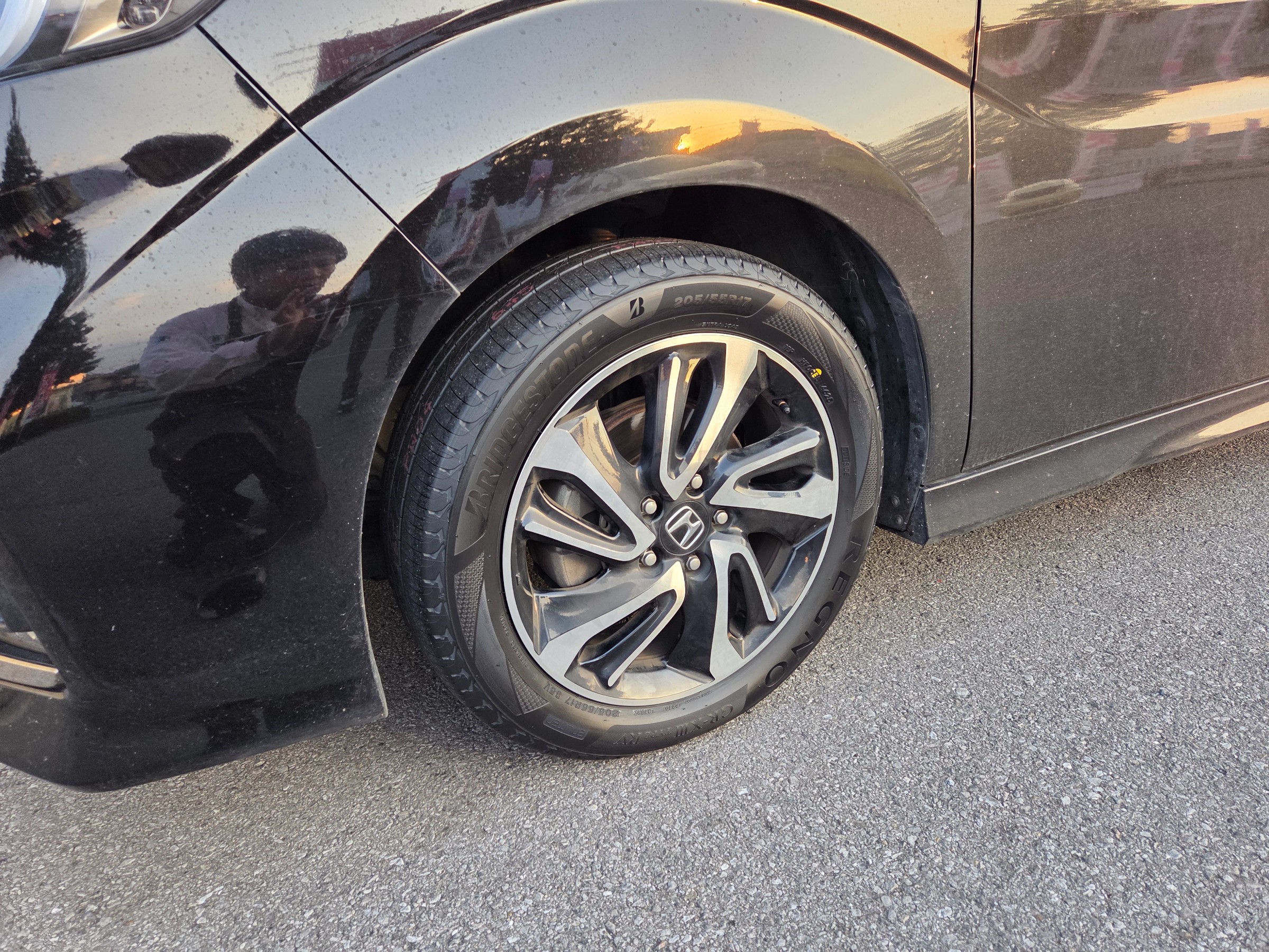 スタッフが撮影しました