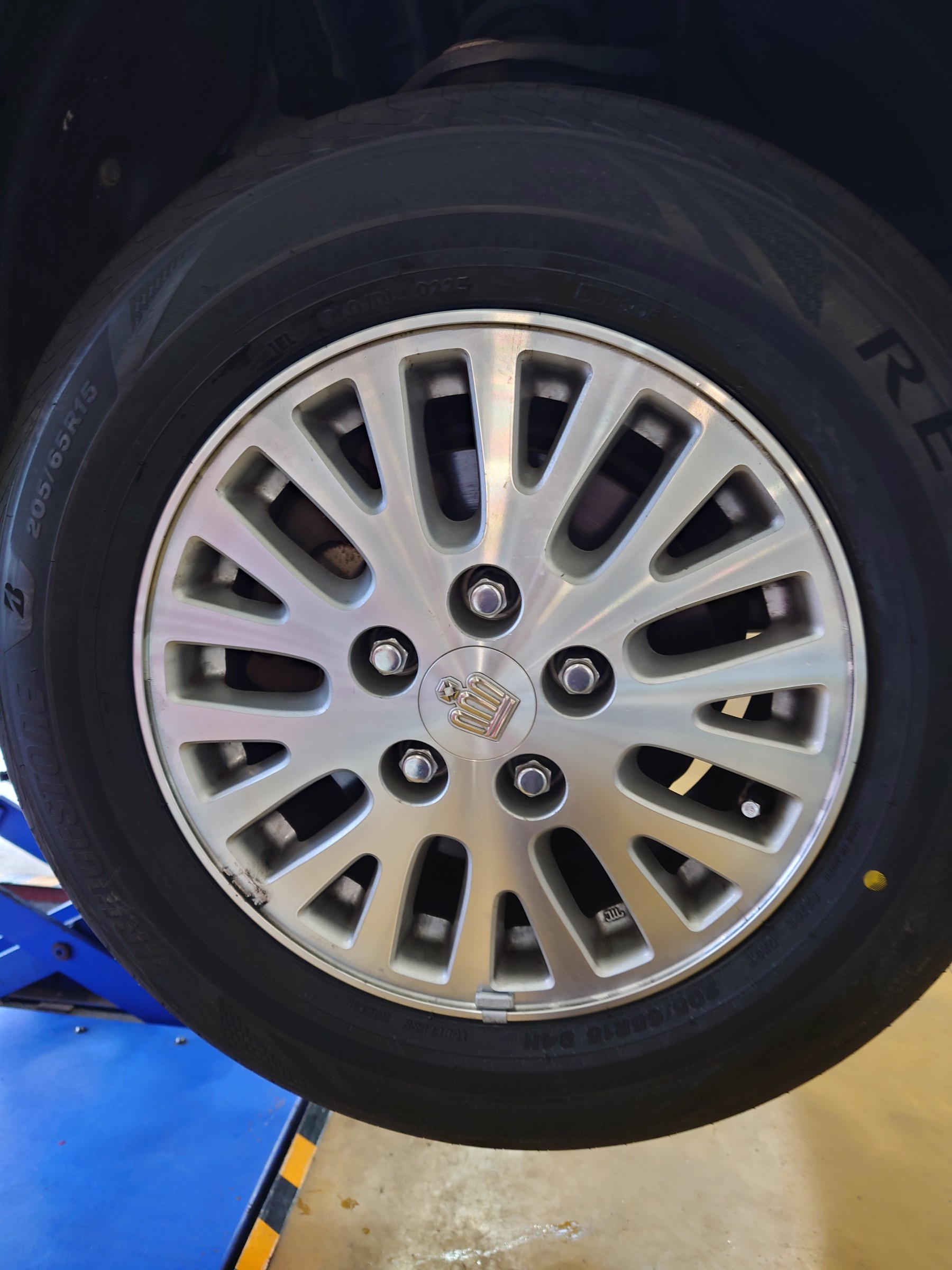 スタッフ撮影写真