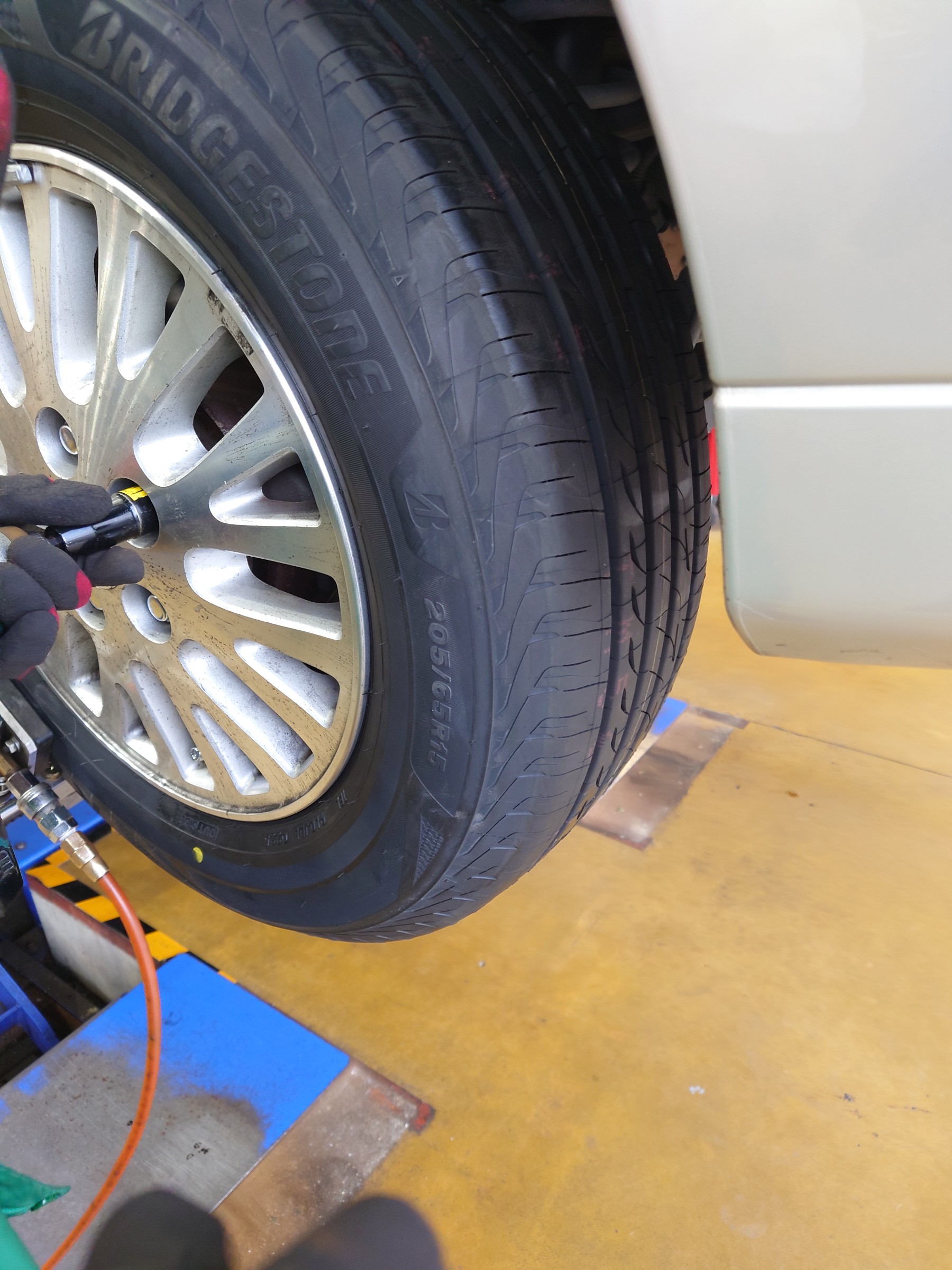 スタッフ撮影写真