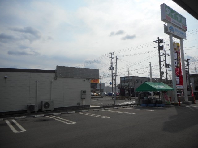 スタッフが撮った写真です