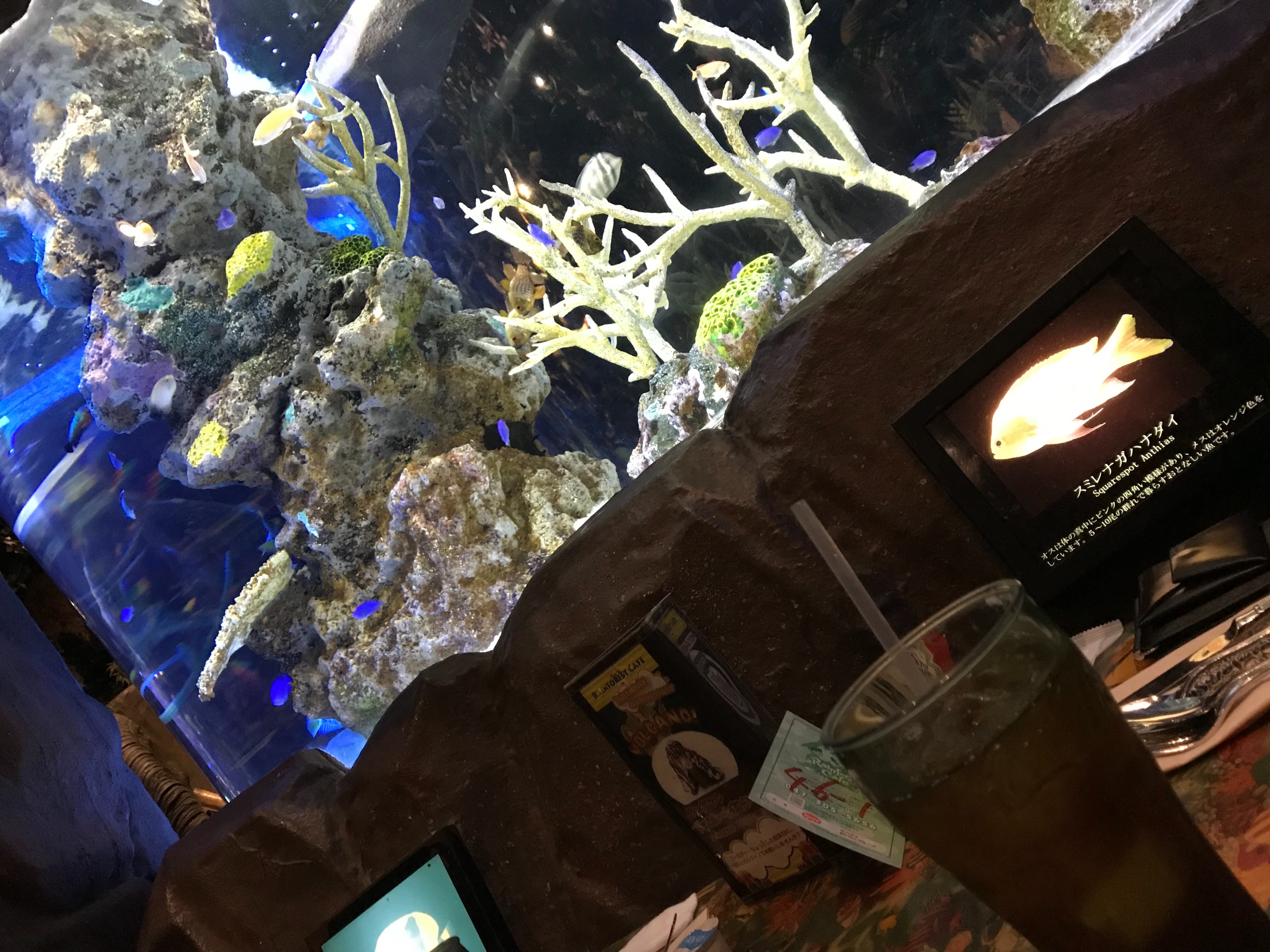 イクスピアリ  スタッフ日記  タイヤ館 勝田台  千葉県のタイヤ 