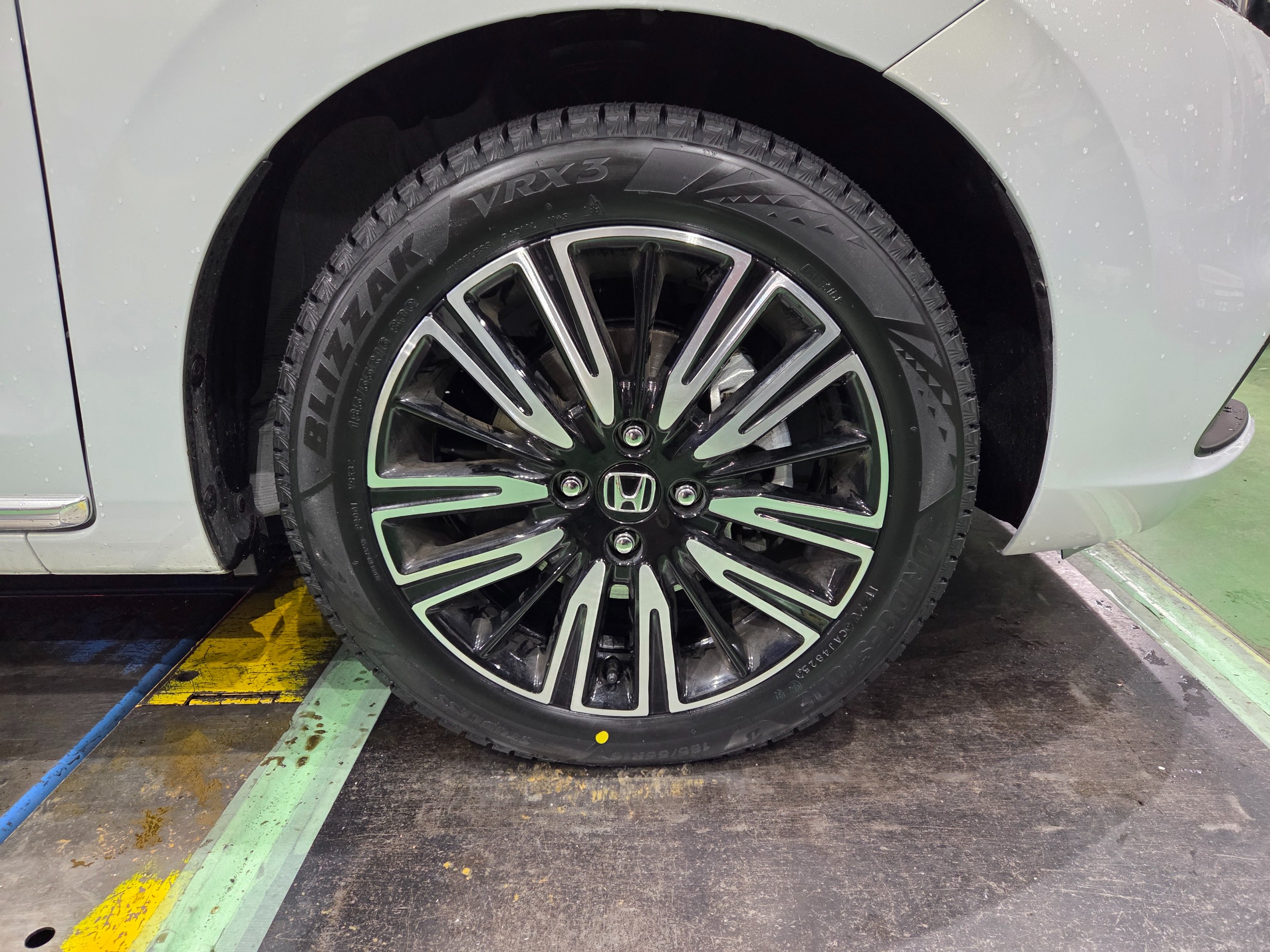 スタッフが撮影しました