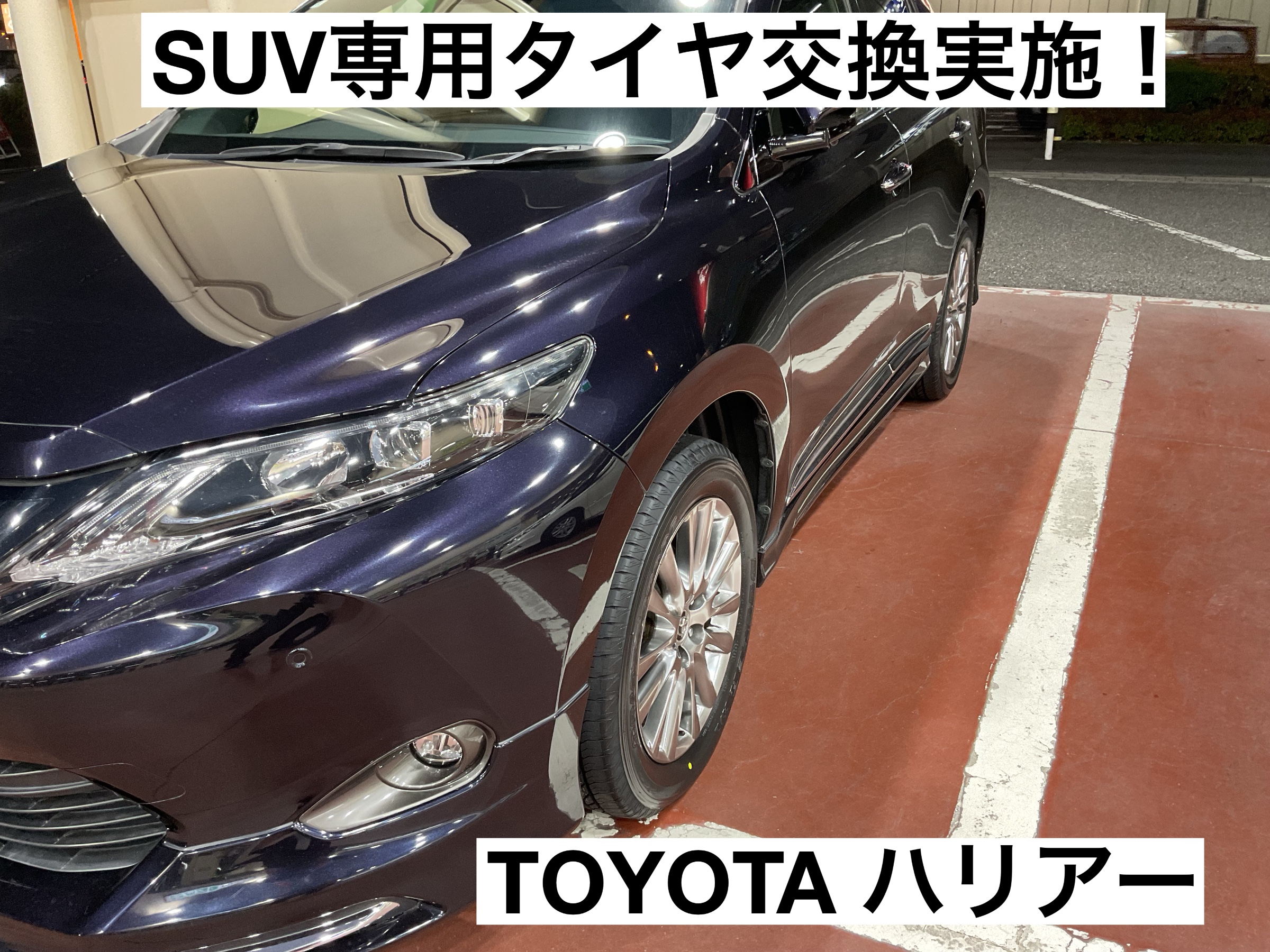 スタッフが撮影