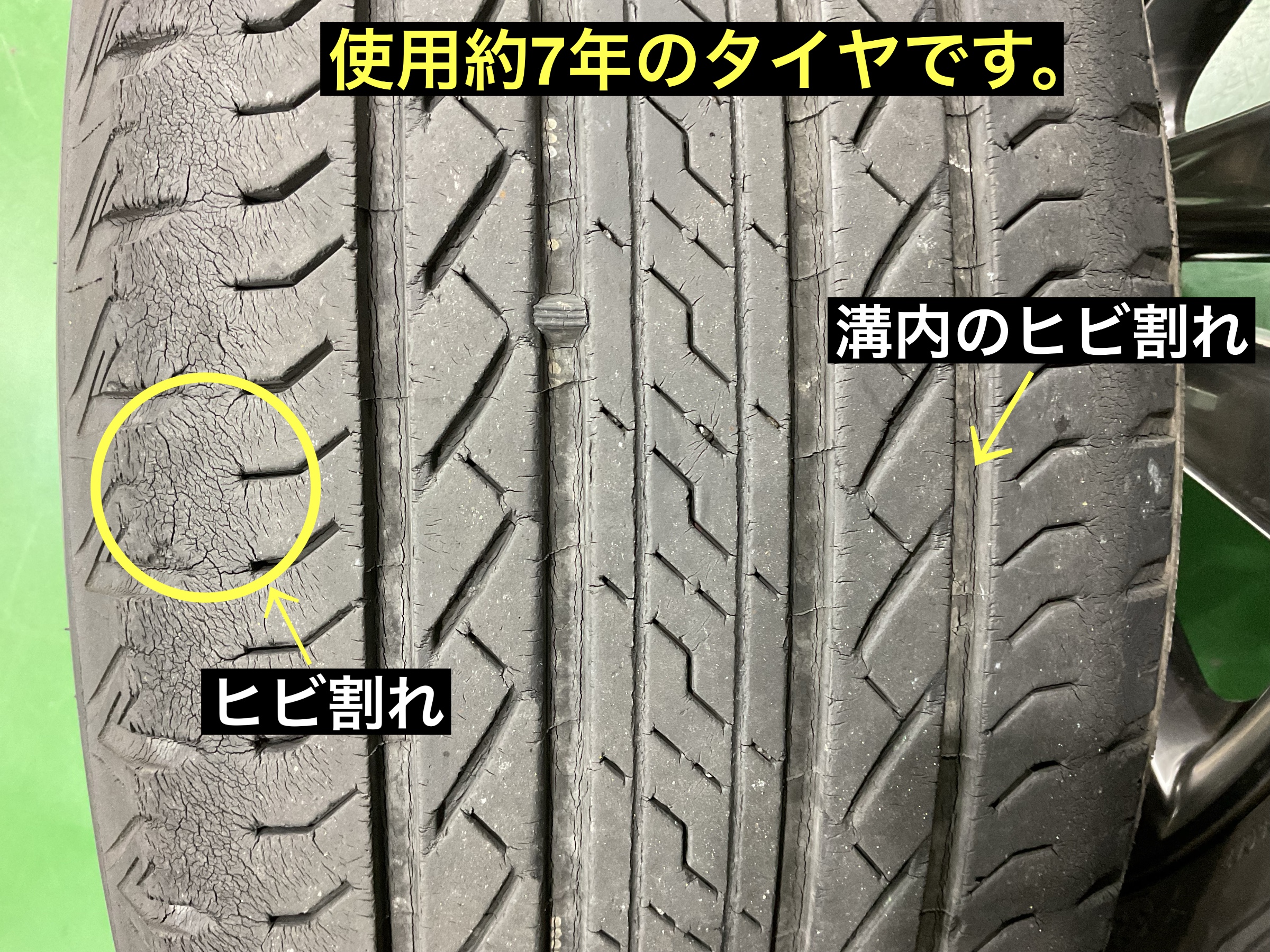 スタッフが撮影