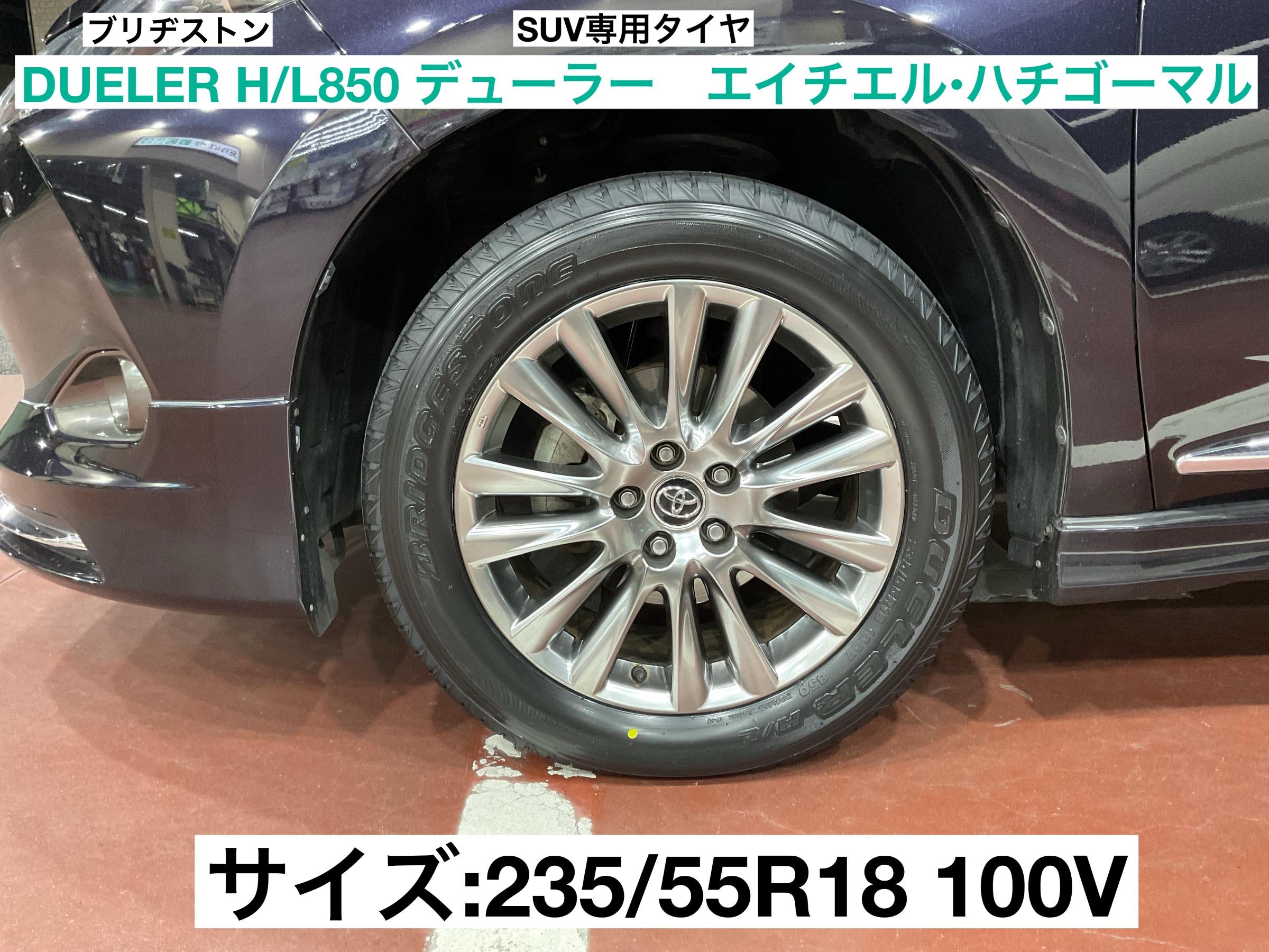 スタッフが撮影