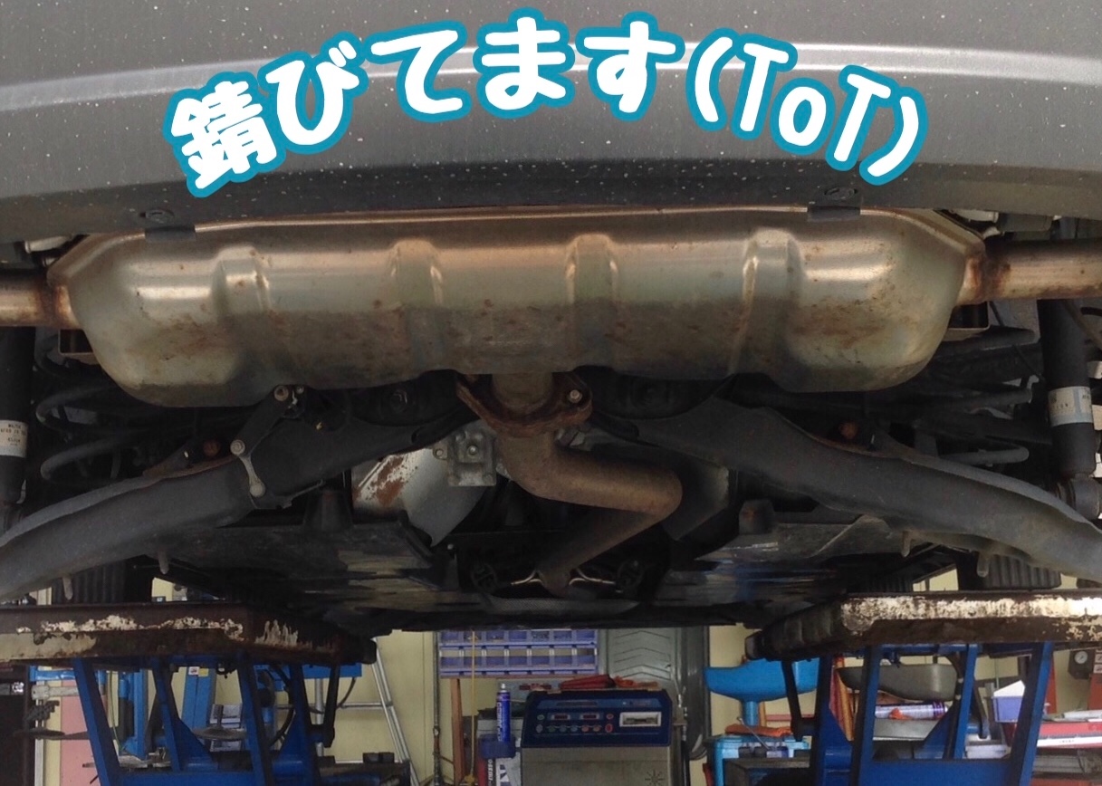 スタッフが撮影した画像です。