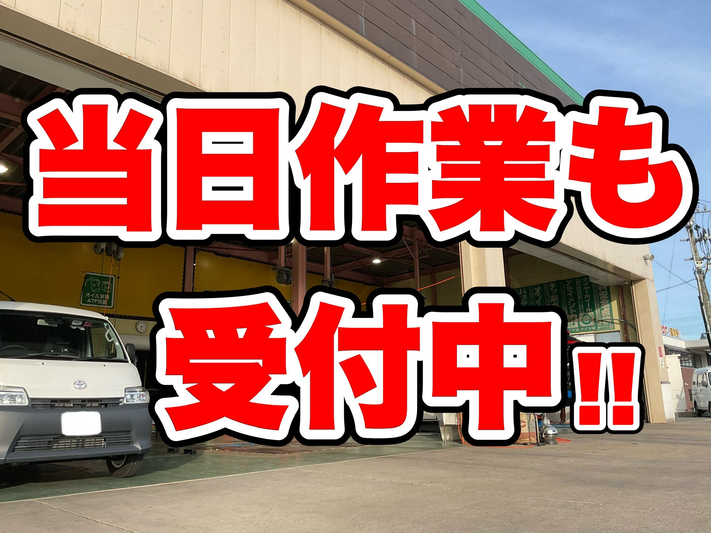 スタッフが撮影加工した画像