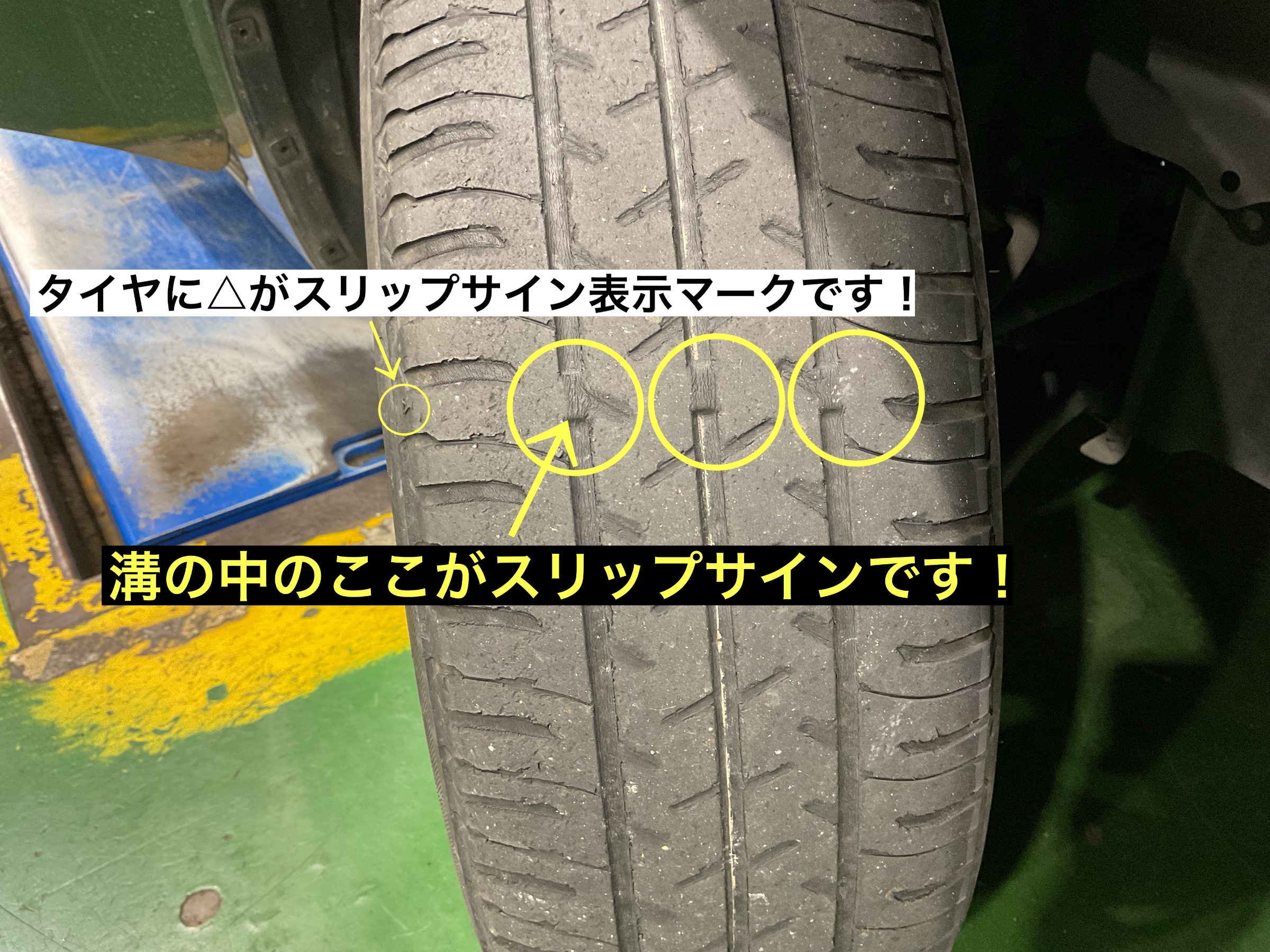 スタッフが撮影