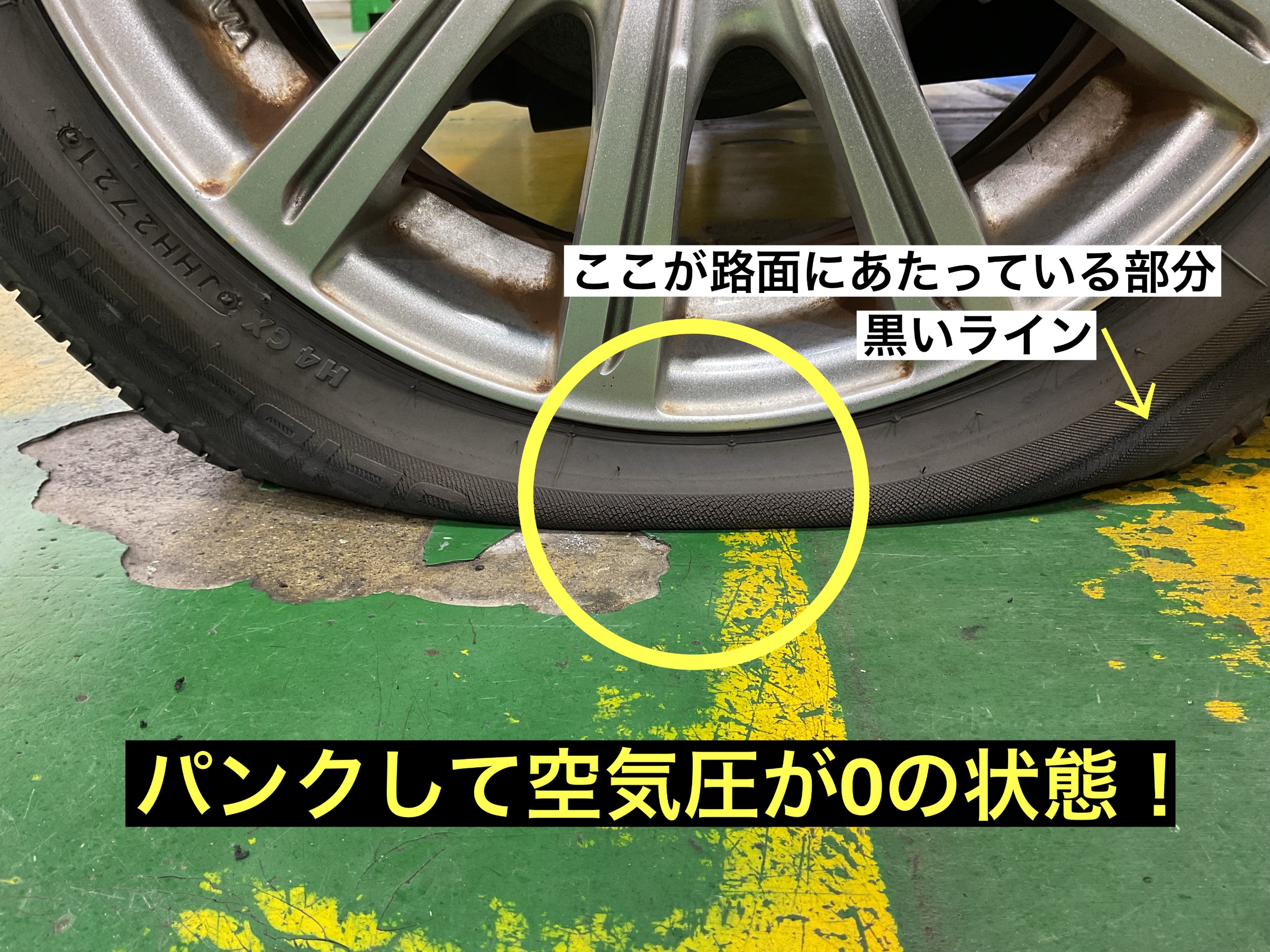 スタッフが撮影