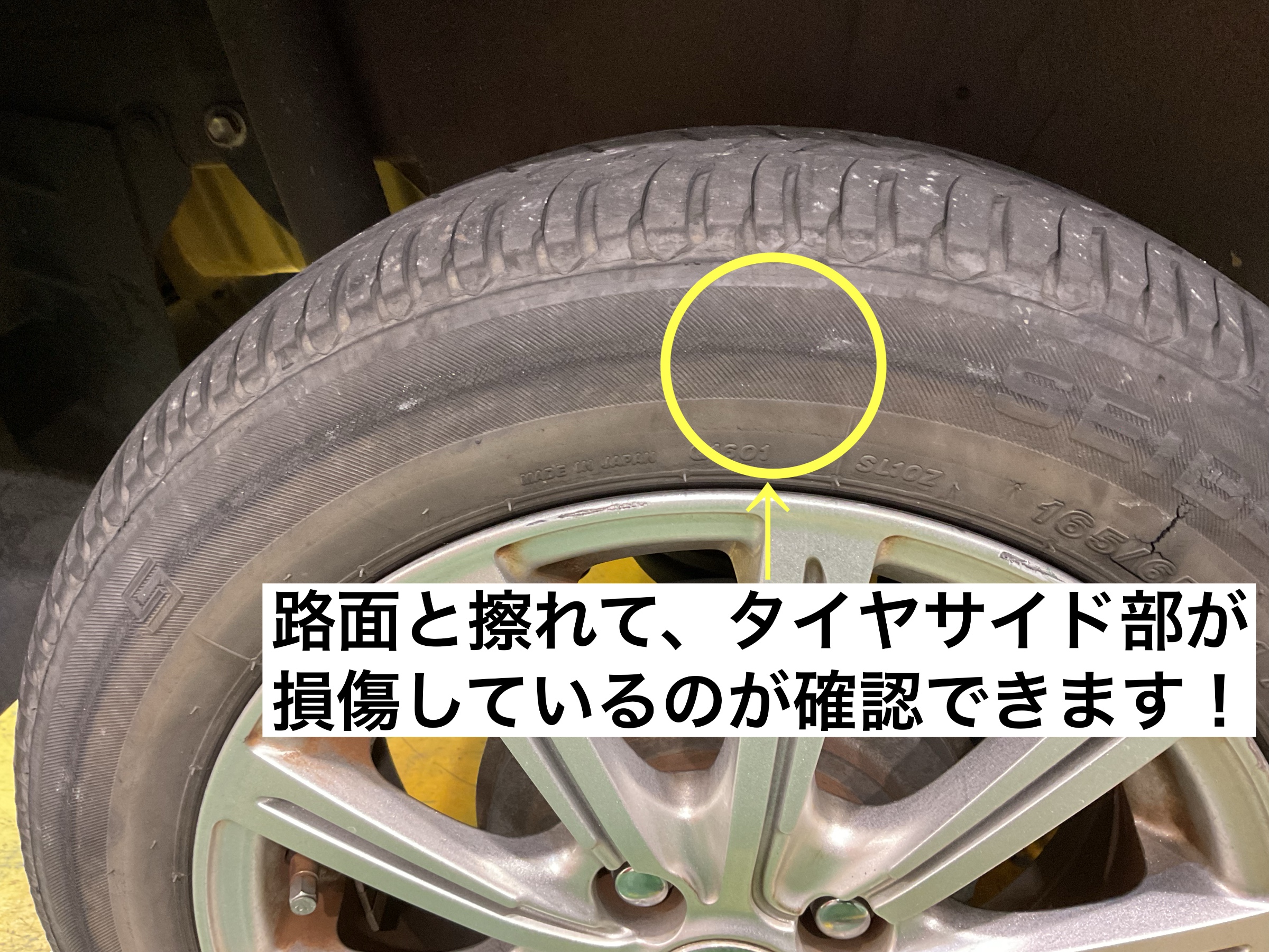 スタッフが撮影