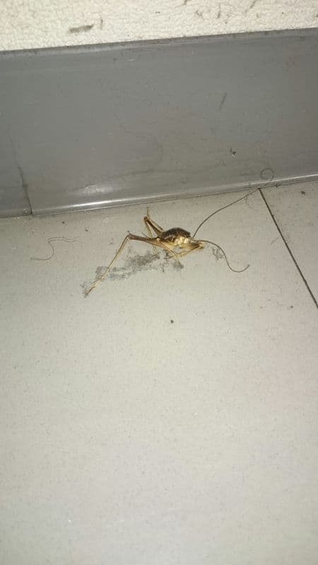 便所〇〇 | 店舗おススメ情報 | タイヤ館 上田（長野県）