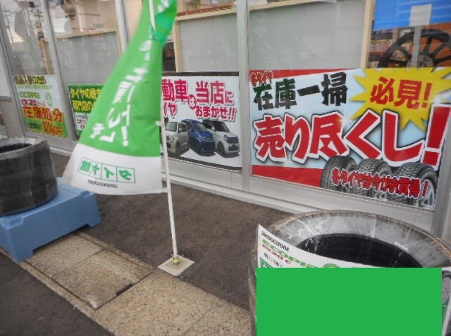 スタッフが撮った写真