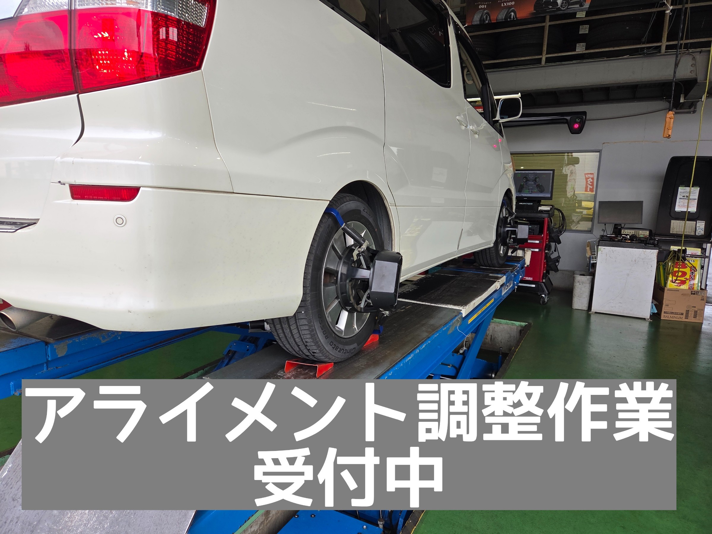 スタッフが撮影しました