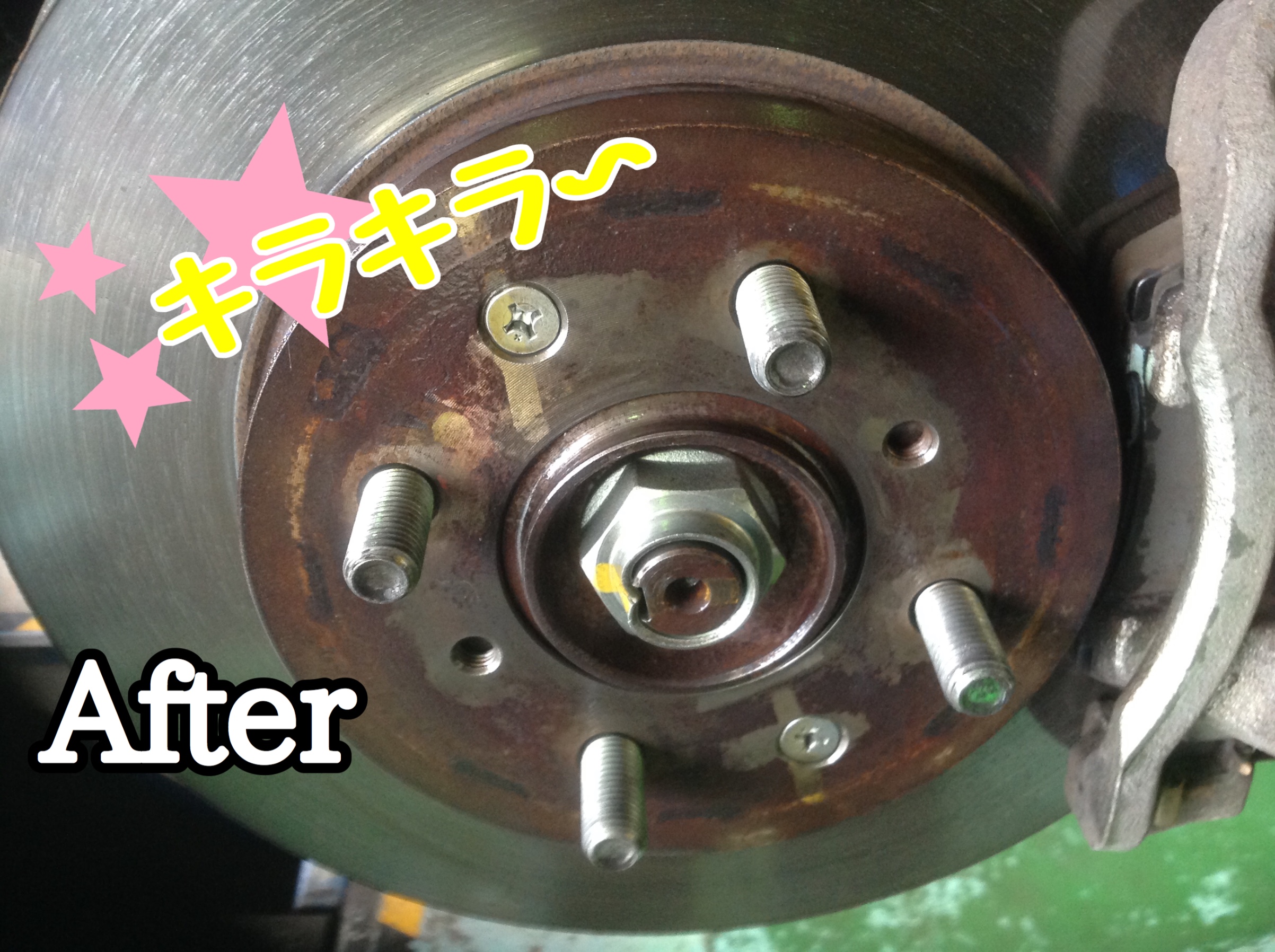 スタッフが撮影、加工した画像です。