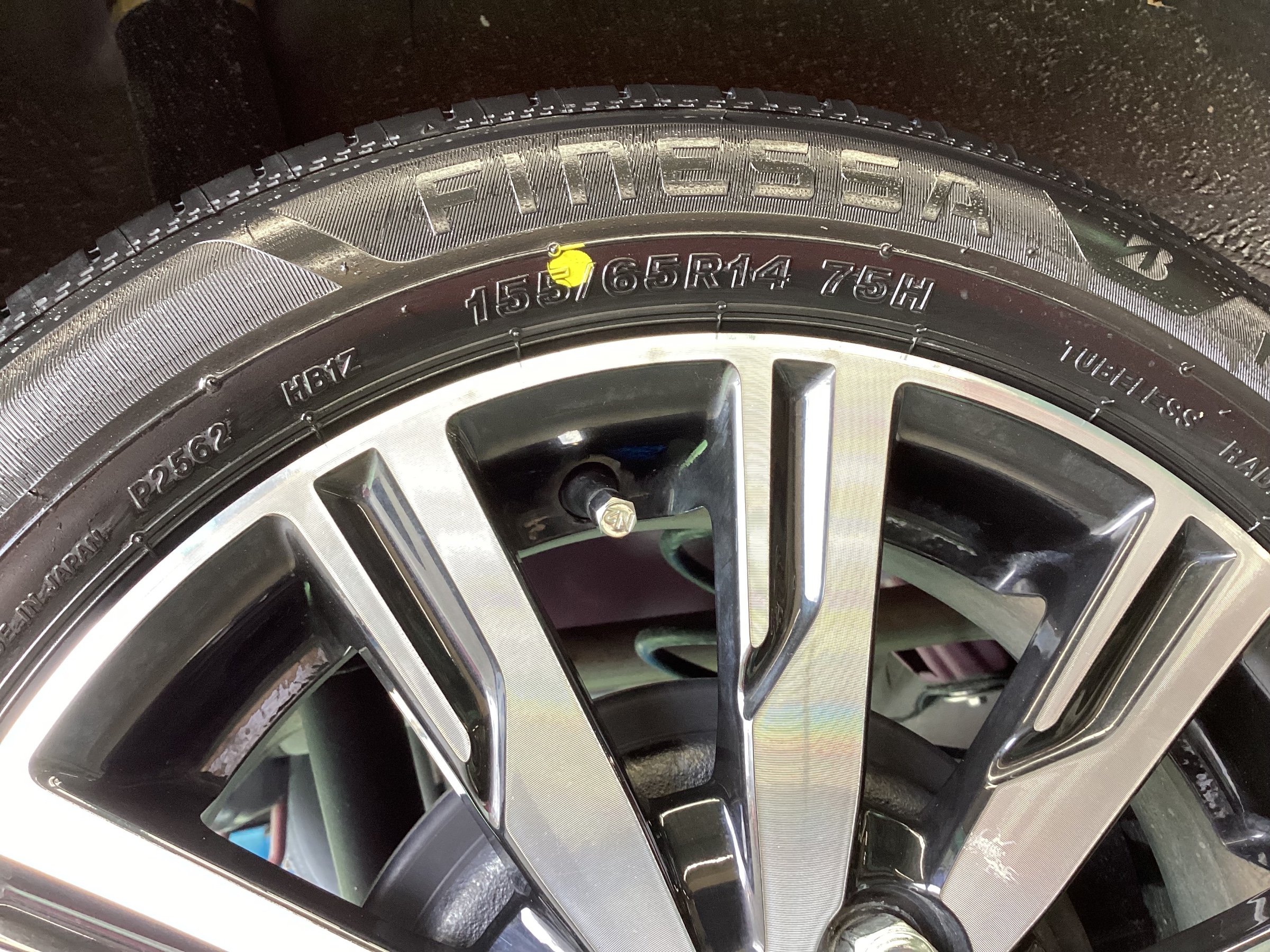 スタッフ撮影分