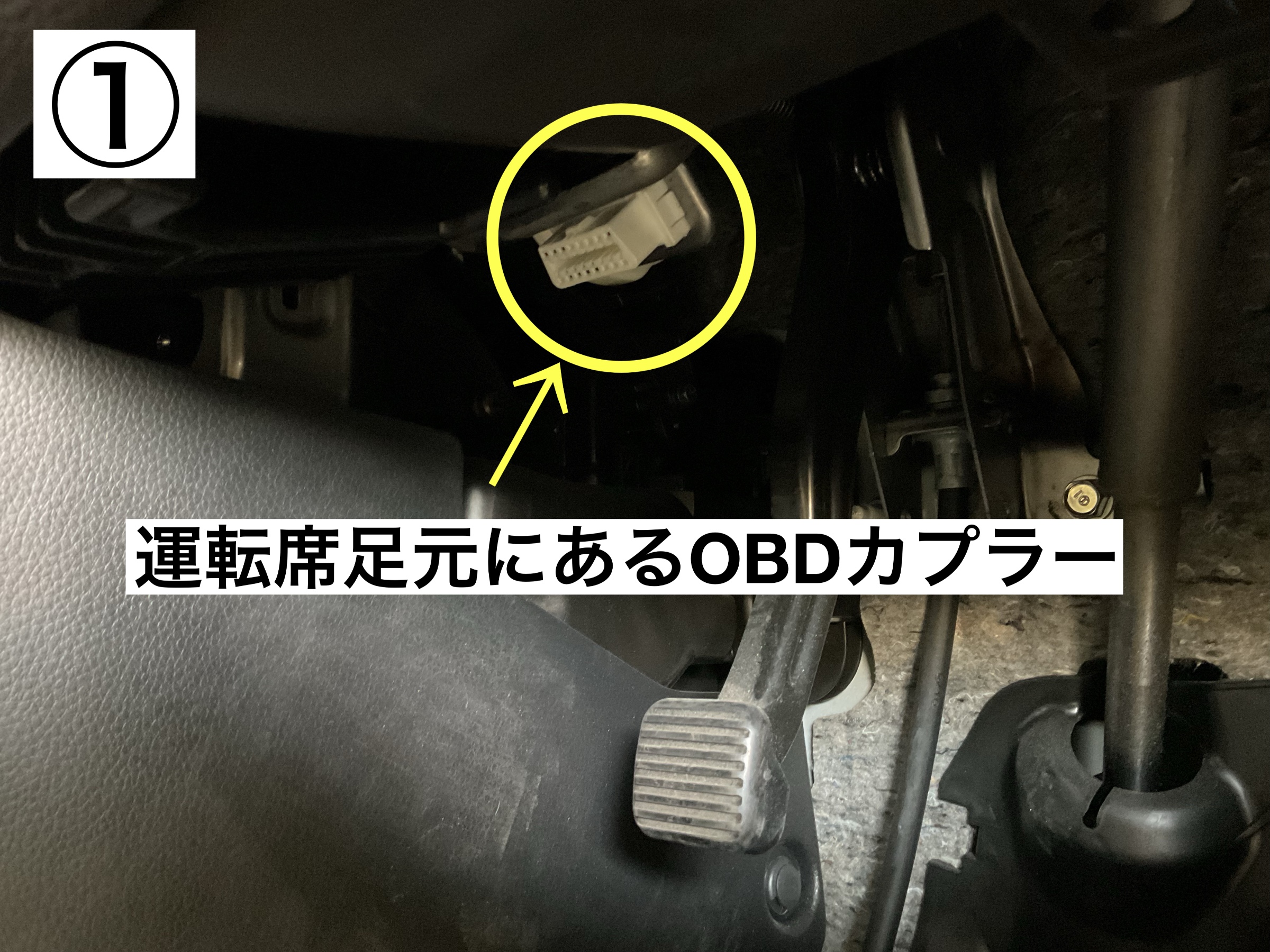 スタッフが撮影