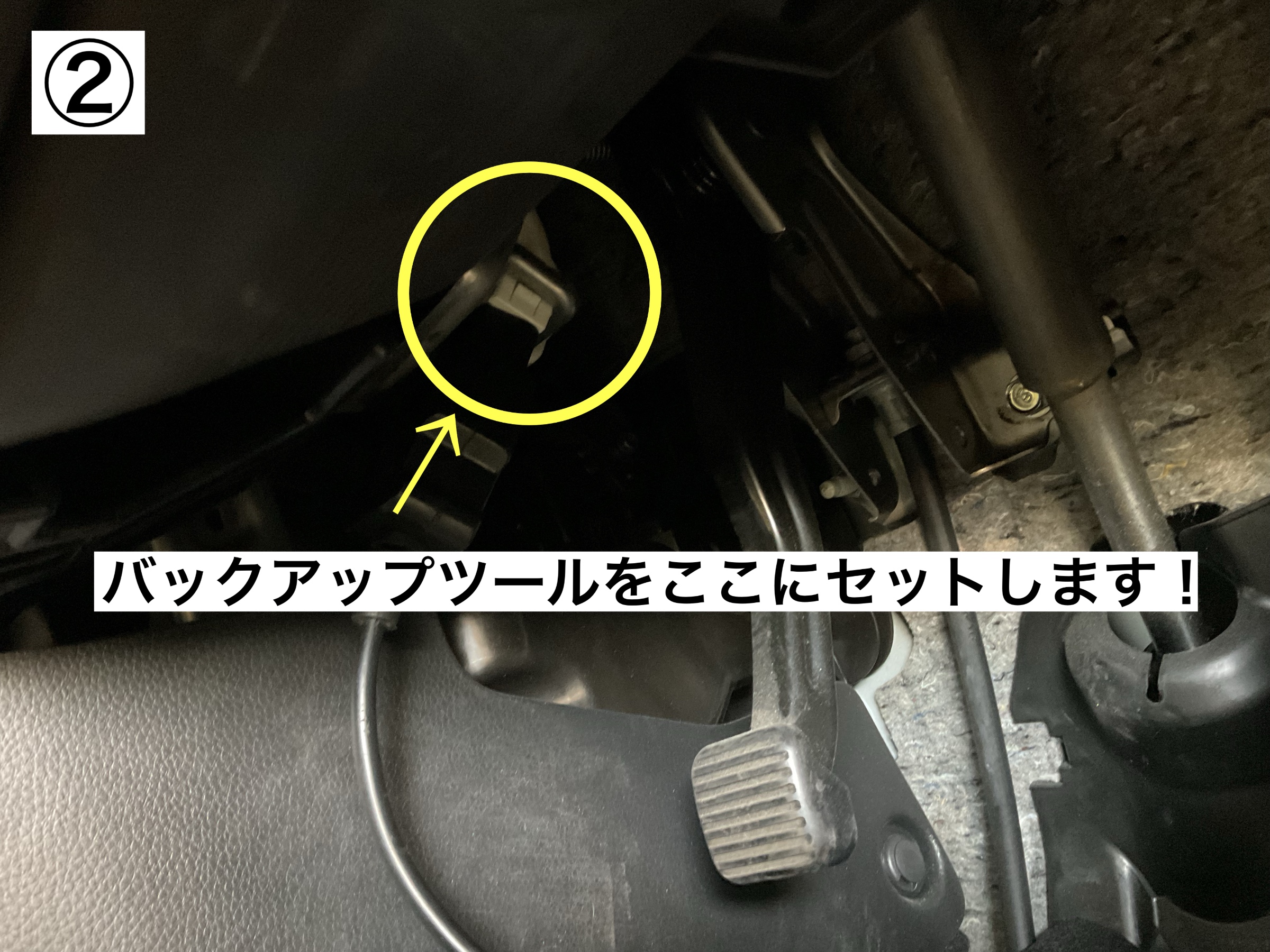 スタッフが撮影